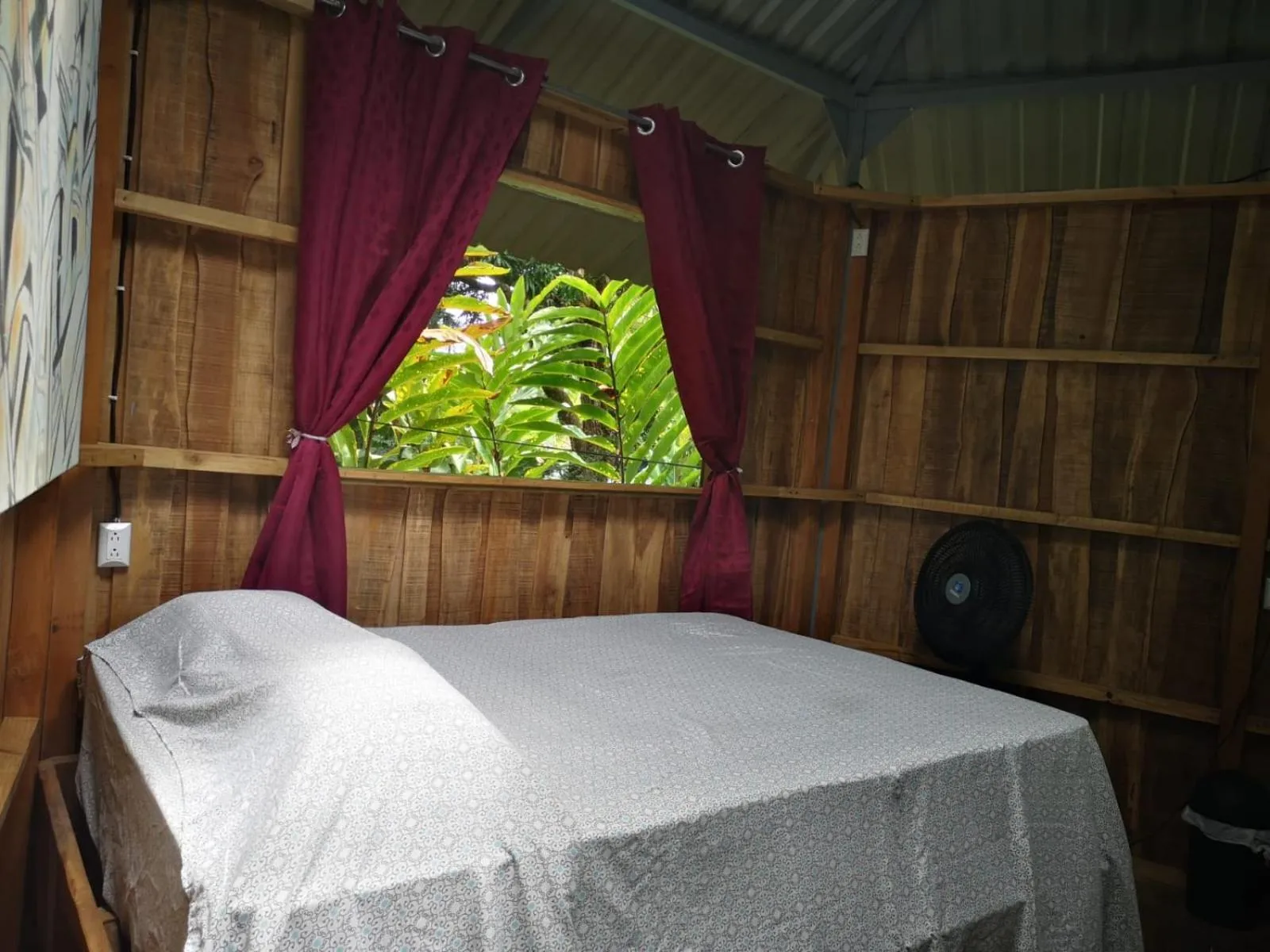 Bed in Flutterby House Hostel