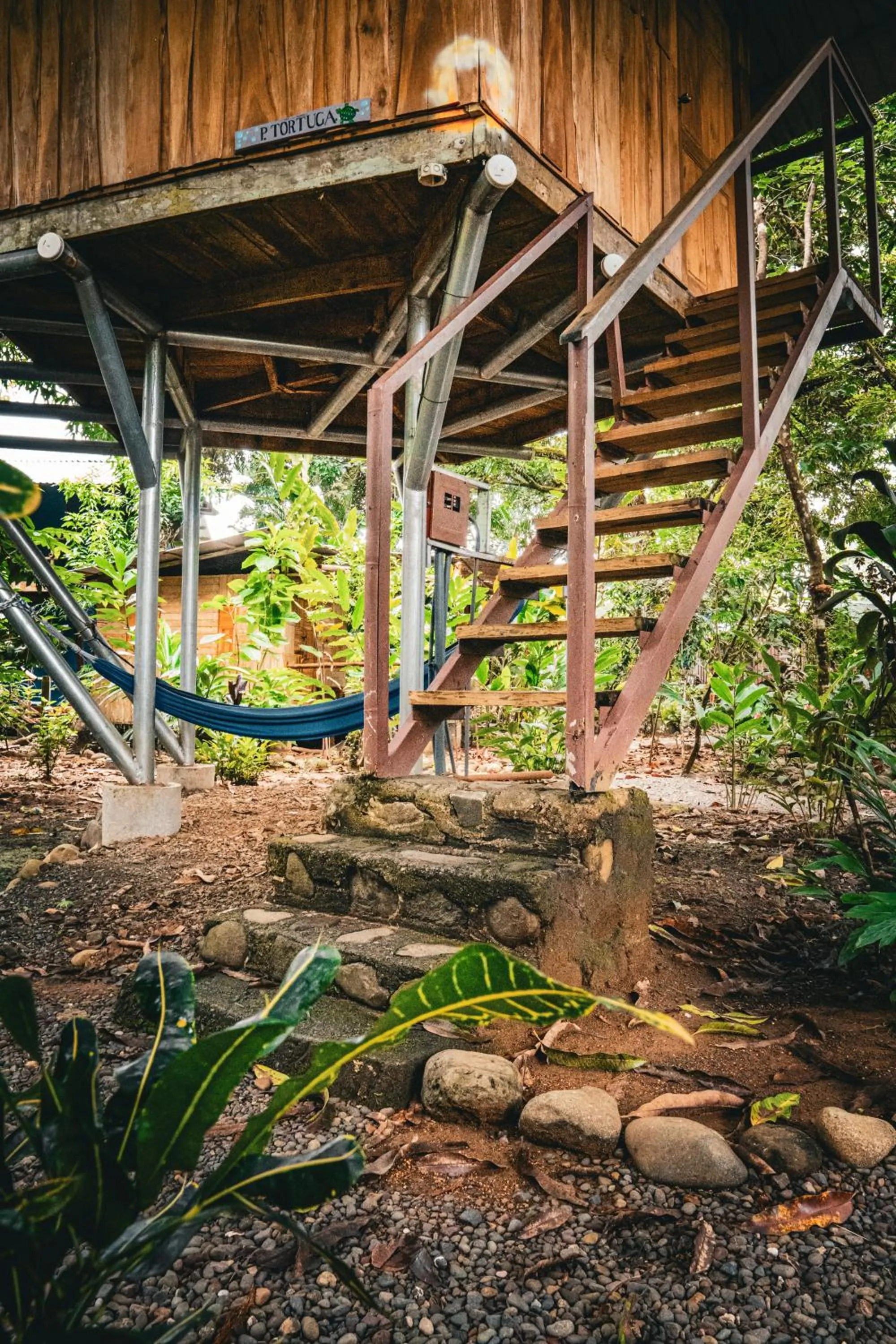 Garden view in Flutterby House Hostel