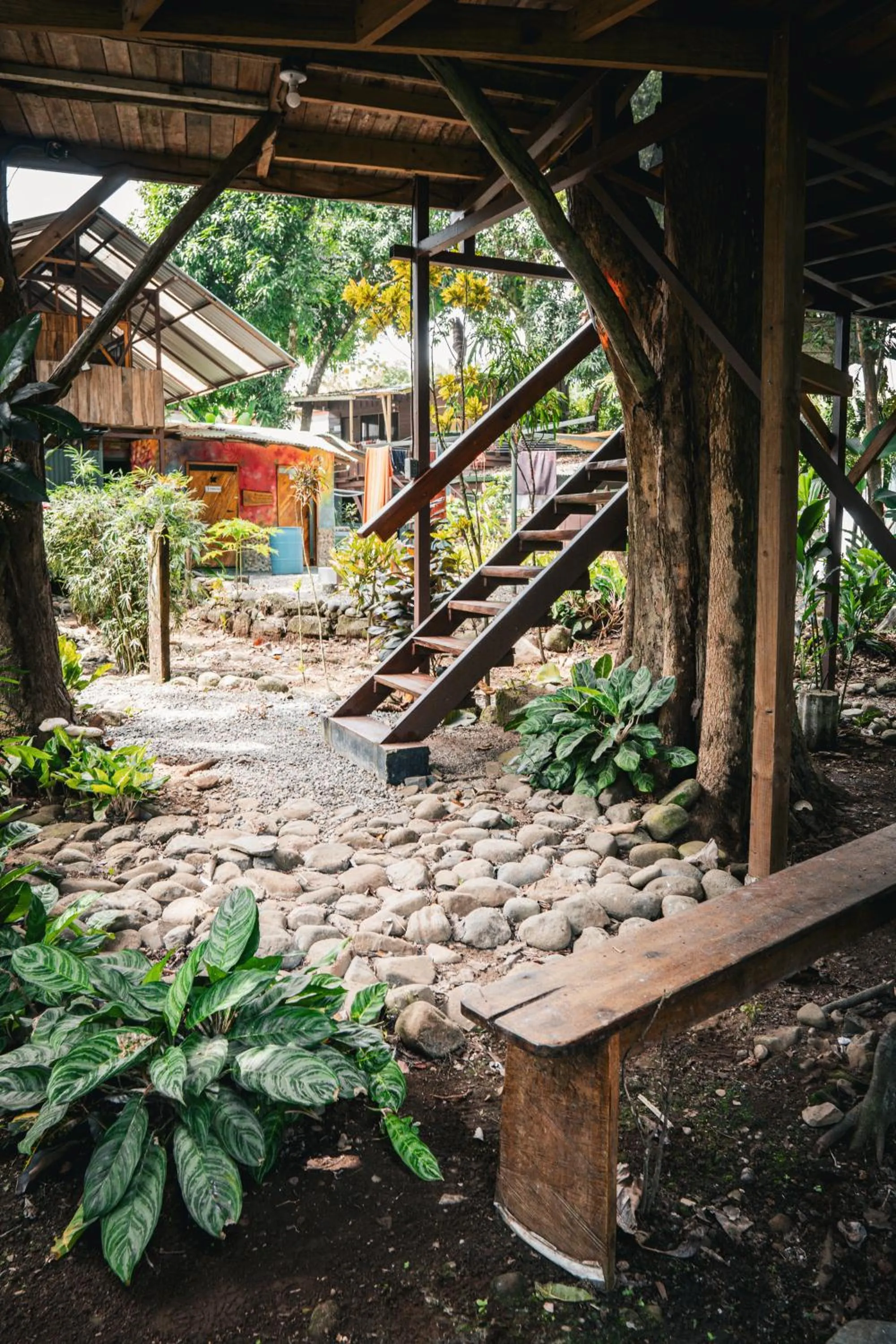 Day in Flutterby House Hostel