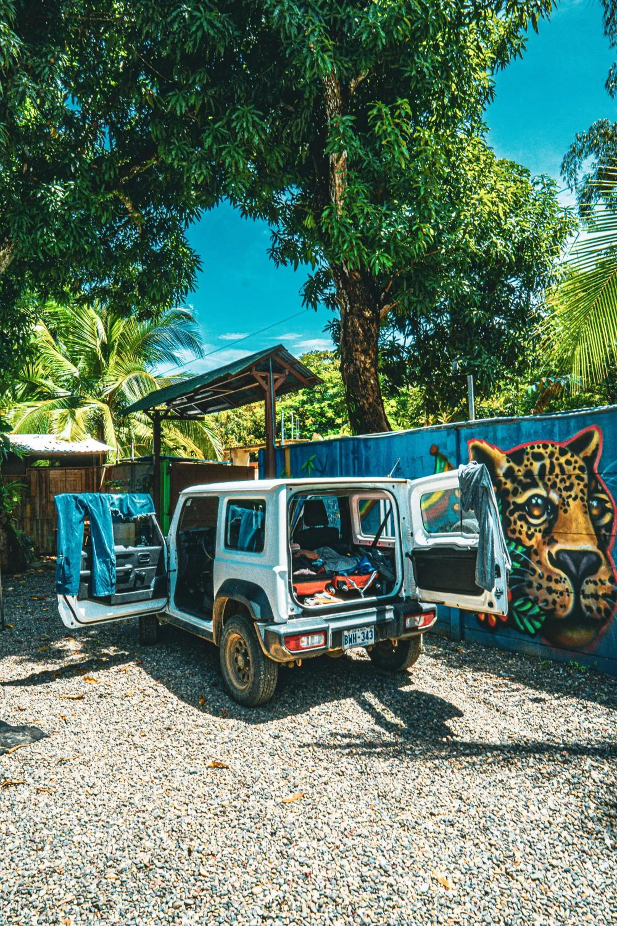 Day in Flutterby House Hostel