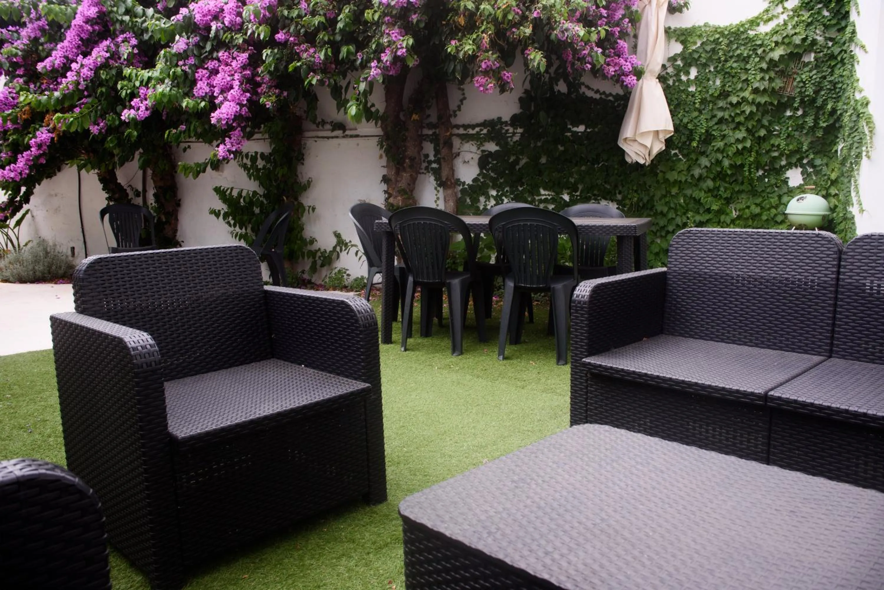 Garden in Holiday House ViscaUno