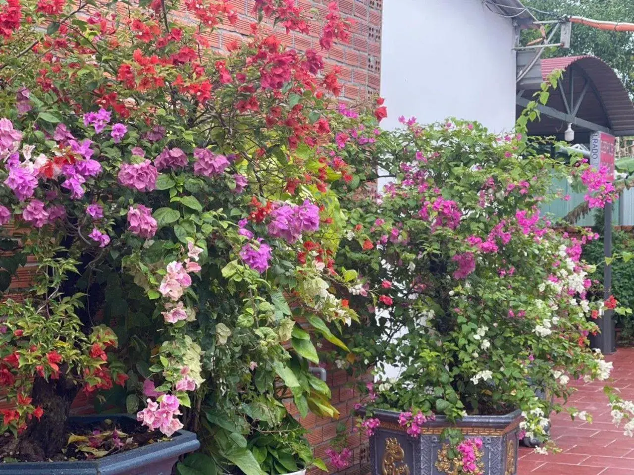 Property building in Nhà Nghỉ Vườn Oải Hương LAVENDER GARDEN GUEST HOUSE Property building in Nhà Nghỉ Vườn Oải Hương LAVENDER GARDEN GUEST HOUSE