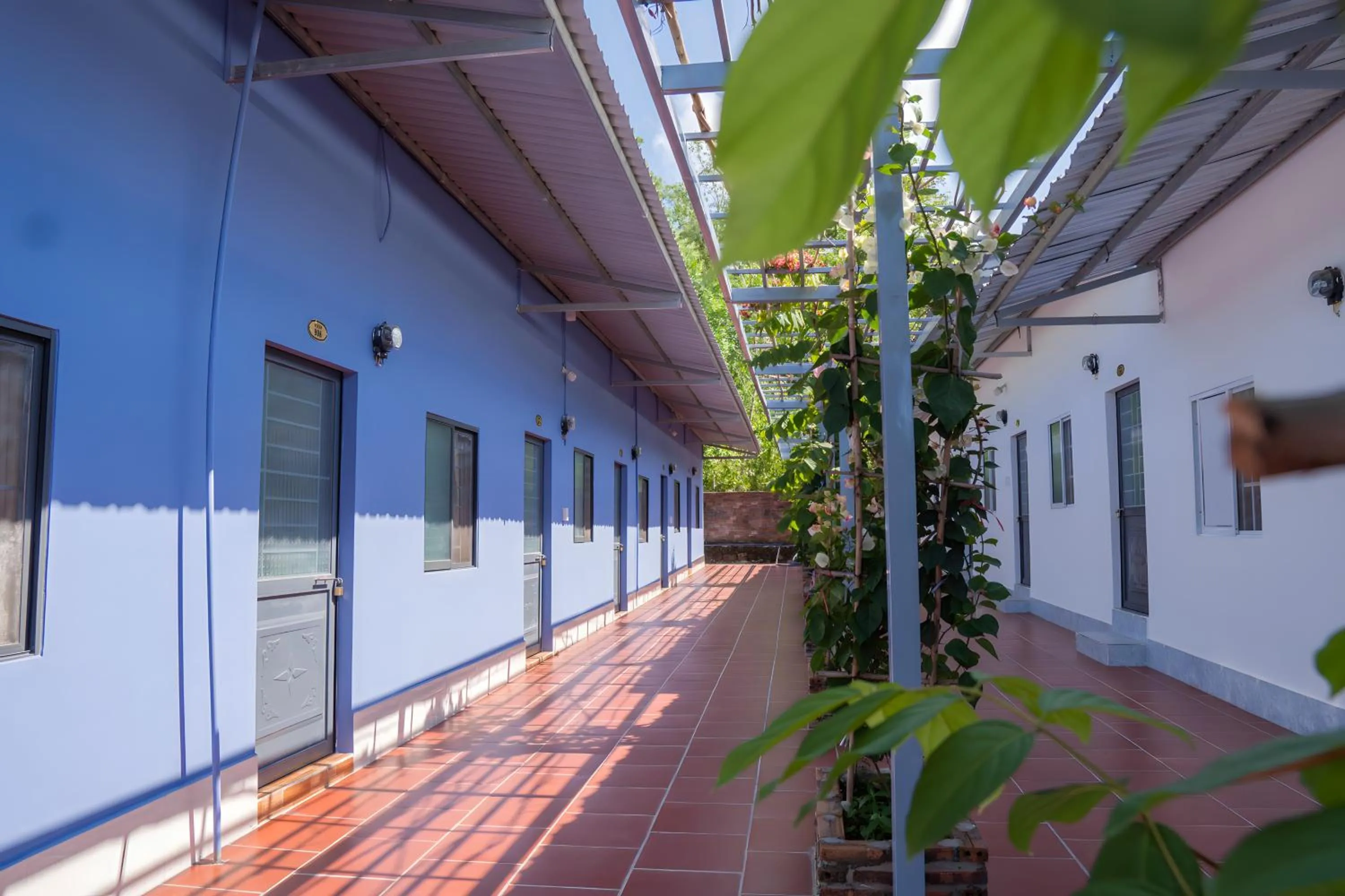 Balcony/Terrace in Nhà Nghỉ Vườn Oải Hương LAVENDER GARDEN GUEST HOUSE