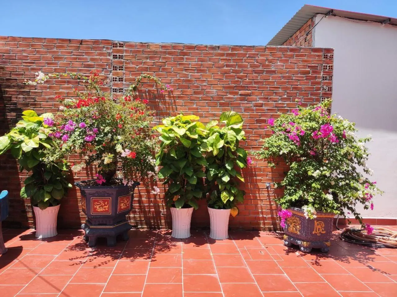 Property building in Nhà Nghỉ Vườn Oải Hương LAVENDER GARDEN GUEST HOUSE