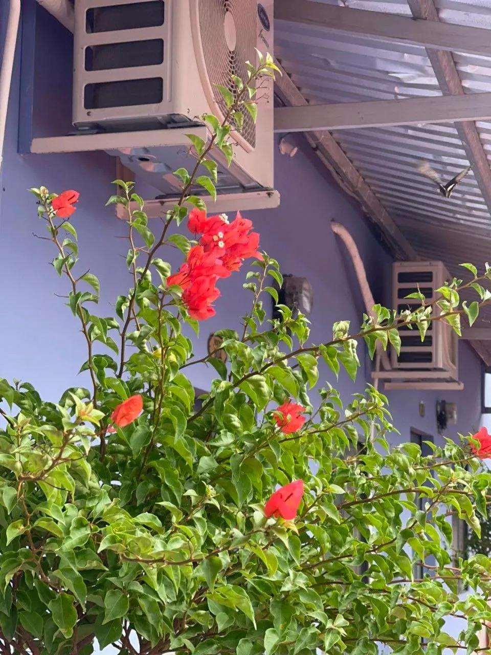 Property building in Nhà Nghỉ Vườn Oải Hương LAVENDER GARDEN GUEST HOUSE