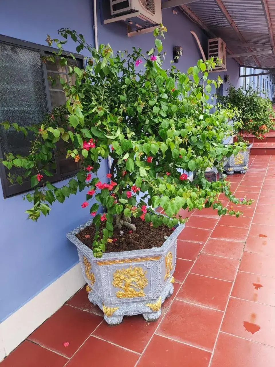 Property building in Nhà Nghỉ Vườn Oải Hương LAVENDER GARDEN GUEST HOUSE Property building in Nhà Nghỉ Vườn Oải Hương LAVENDER GARDEN GUEST HOUSE