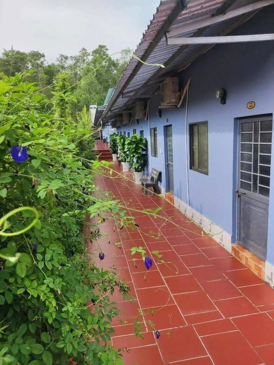 Nhà Nghỉ Vườn Oải Hương LAVENDER GARDEN GUEST HOUSE