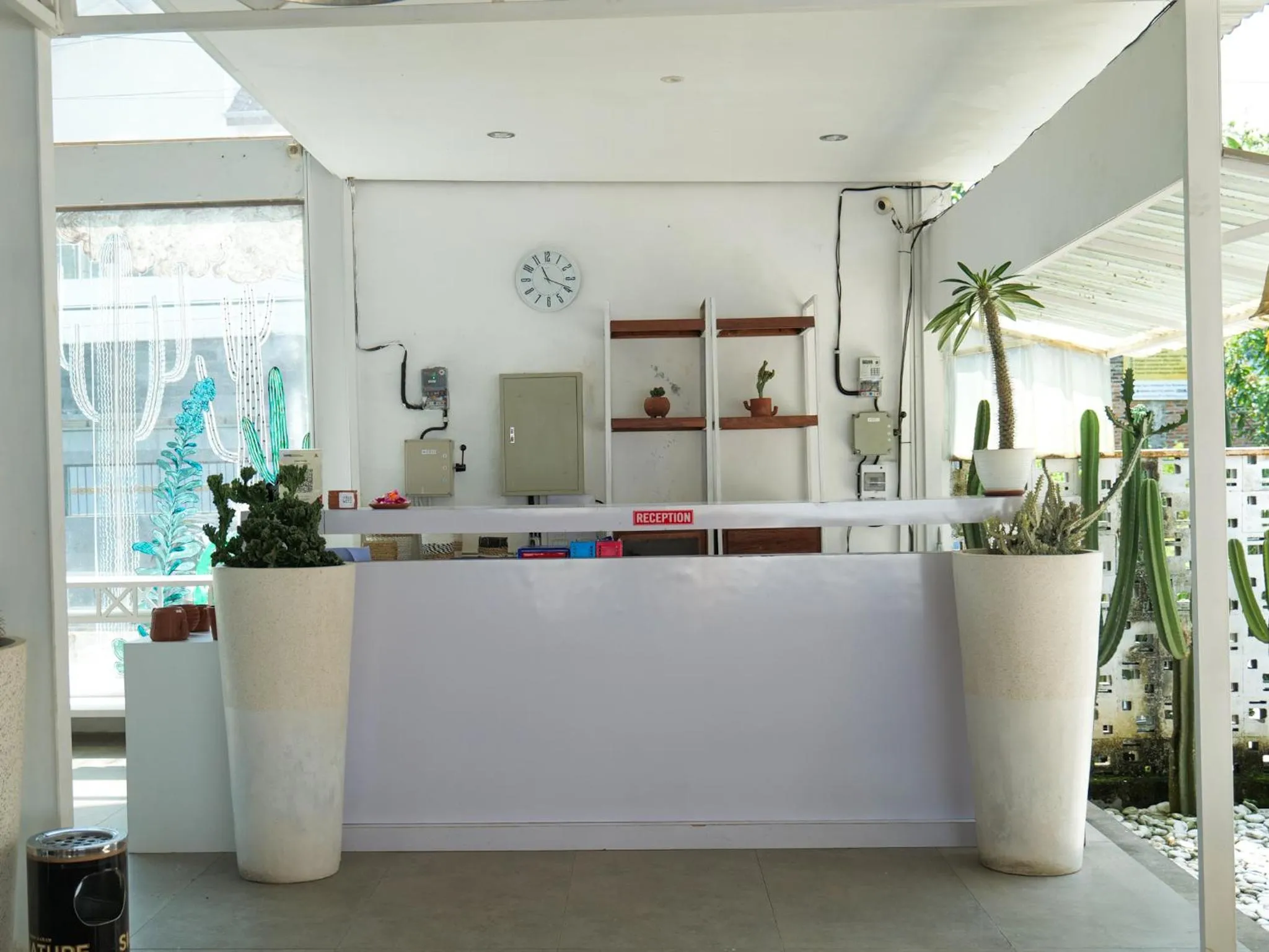 Cactus Guest House Borobudur