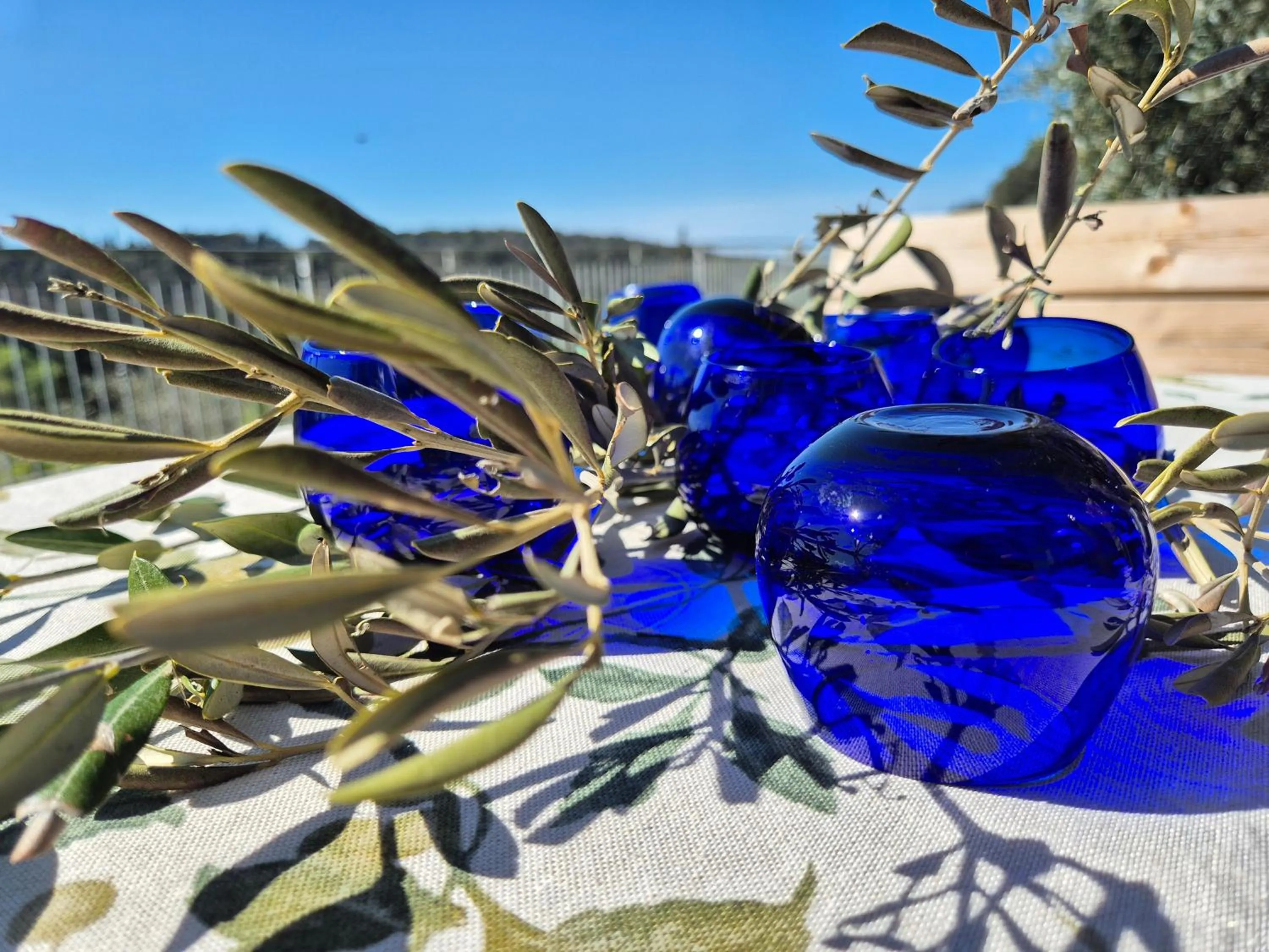 Garden in Agriturismo Ai Massi