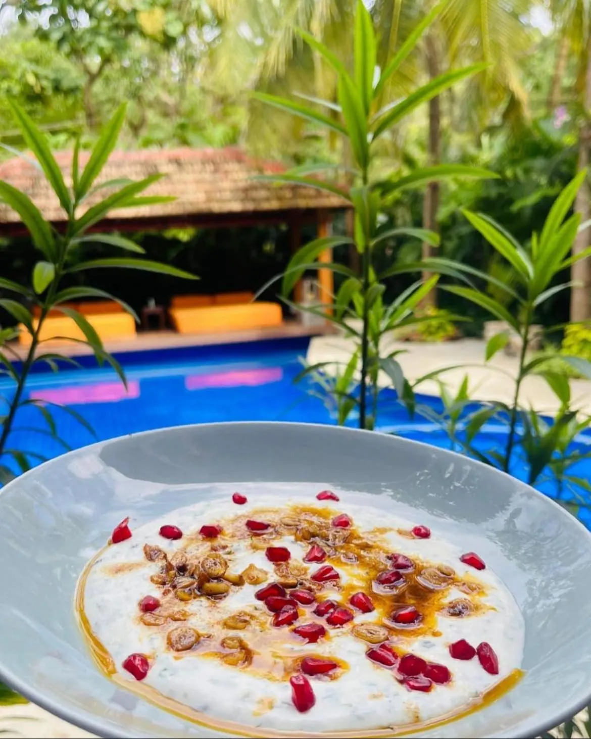 Food in The Postcard Saligao