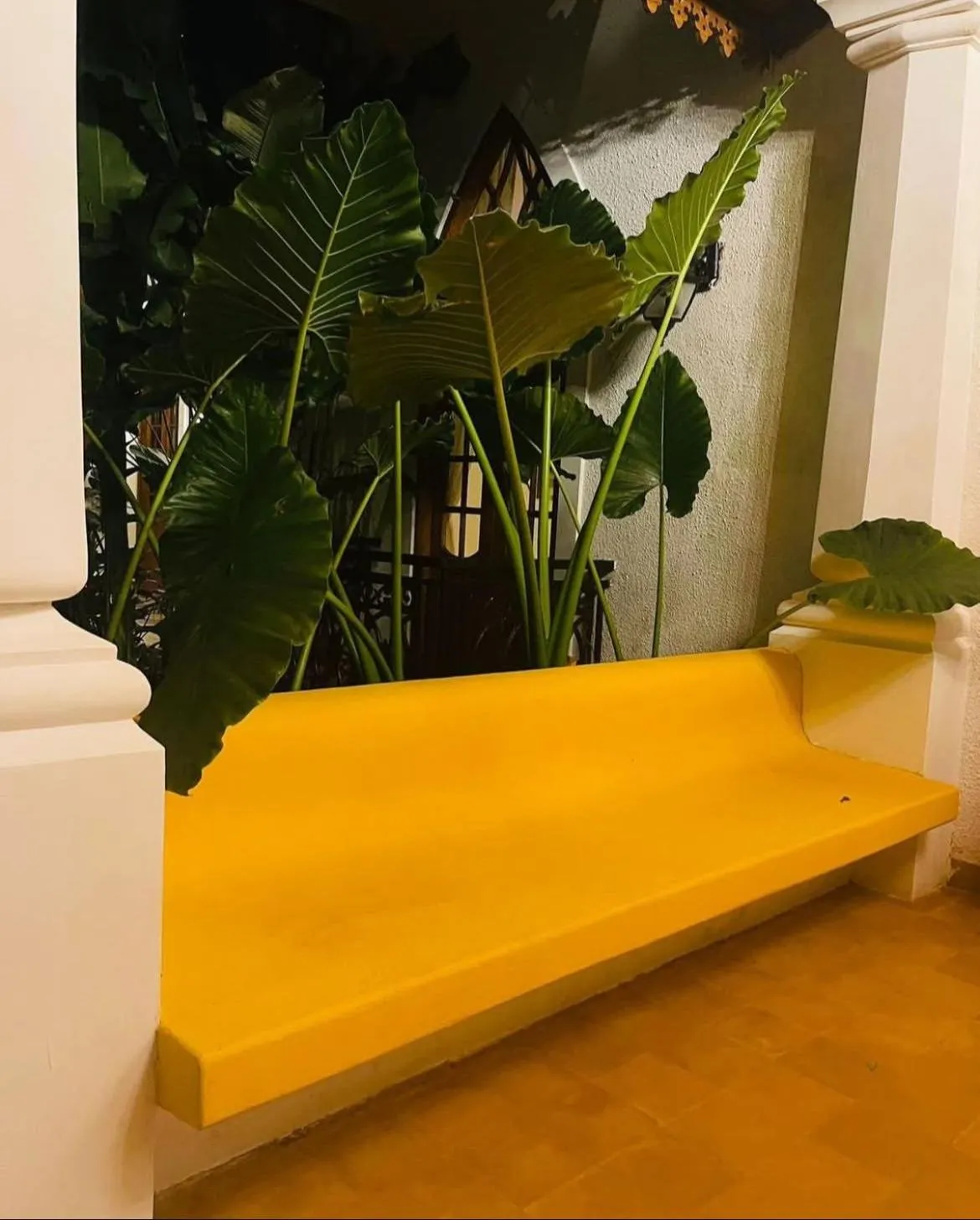 Property building in The Postcard Saligao