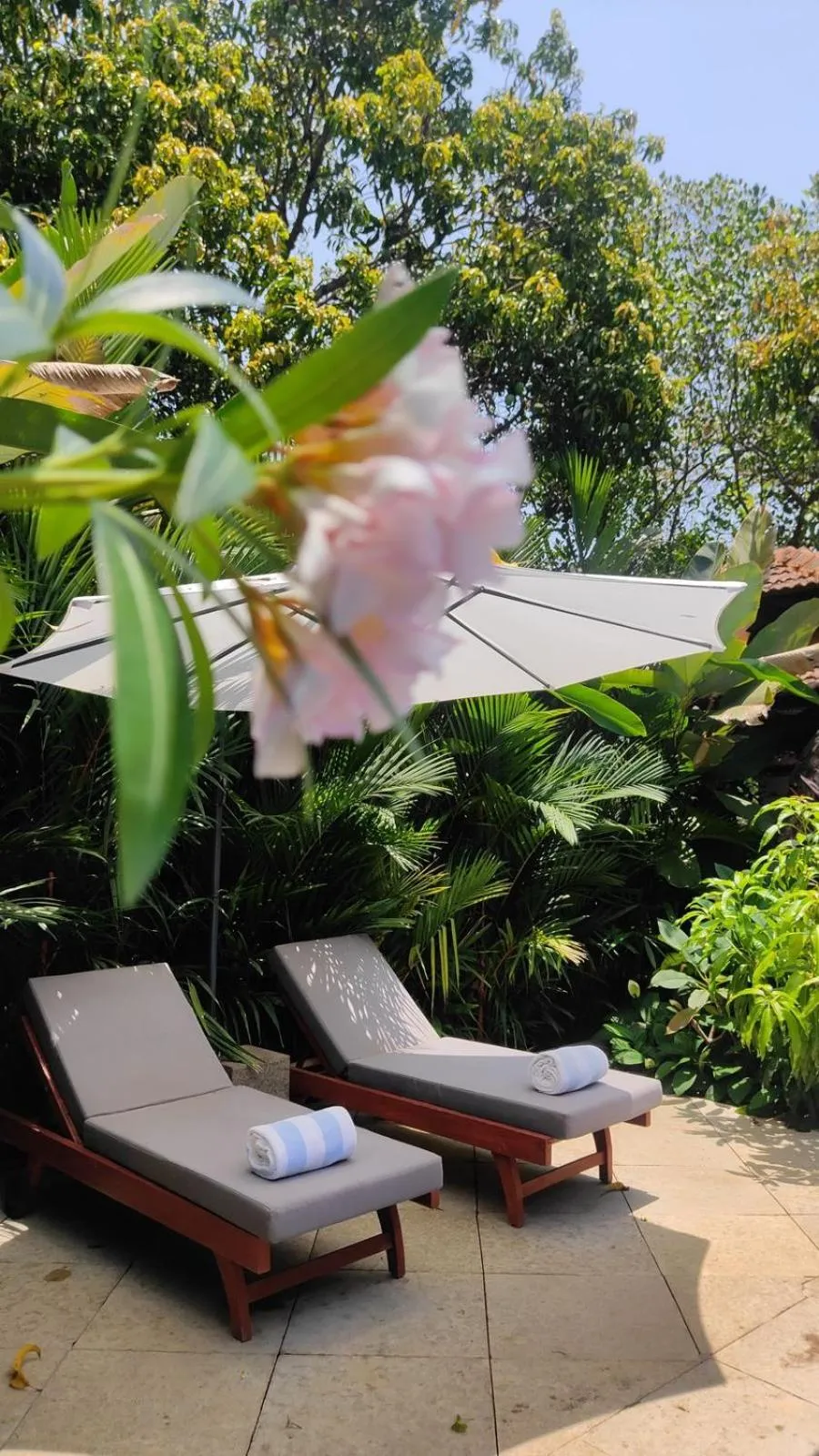 sunbed in The Postcard Saligao