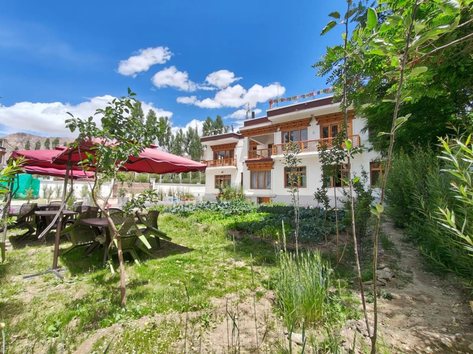 Property building in LADAKH ODYSSEY Hotel