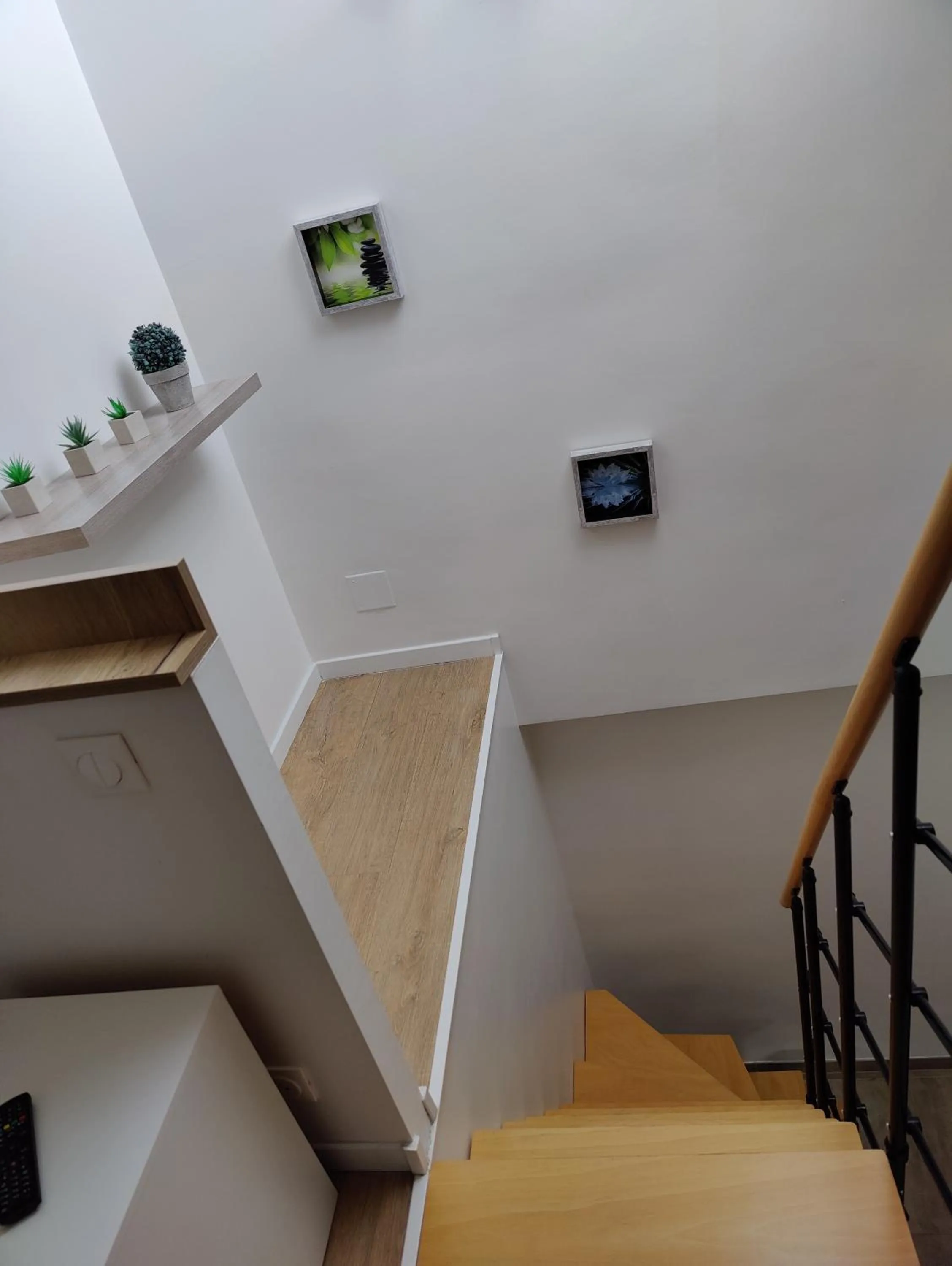Le Green Duplex moderne en hypercentre