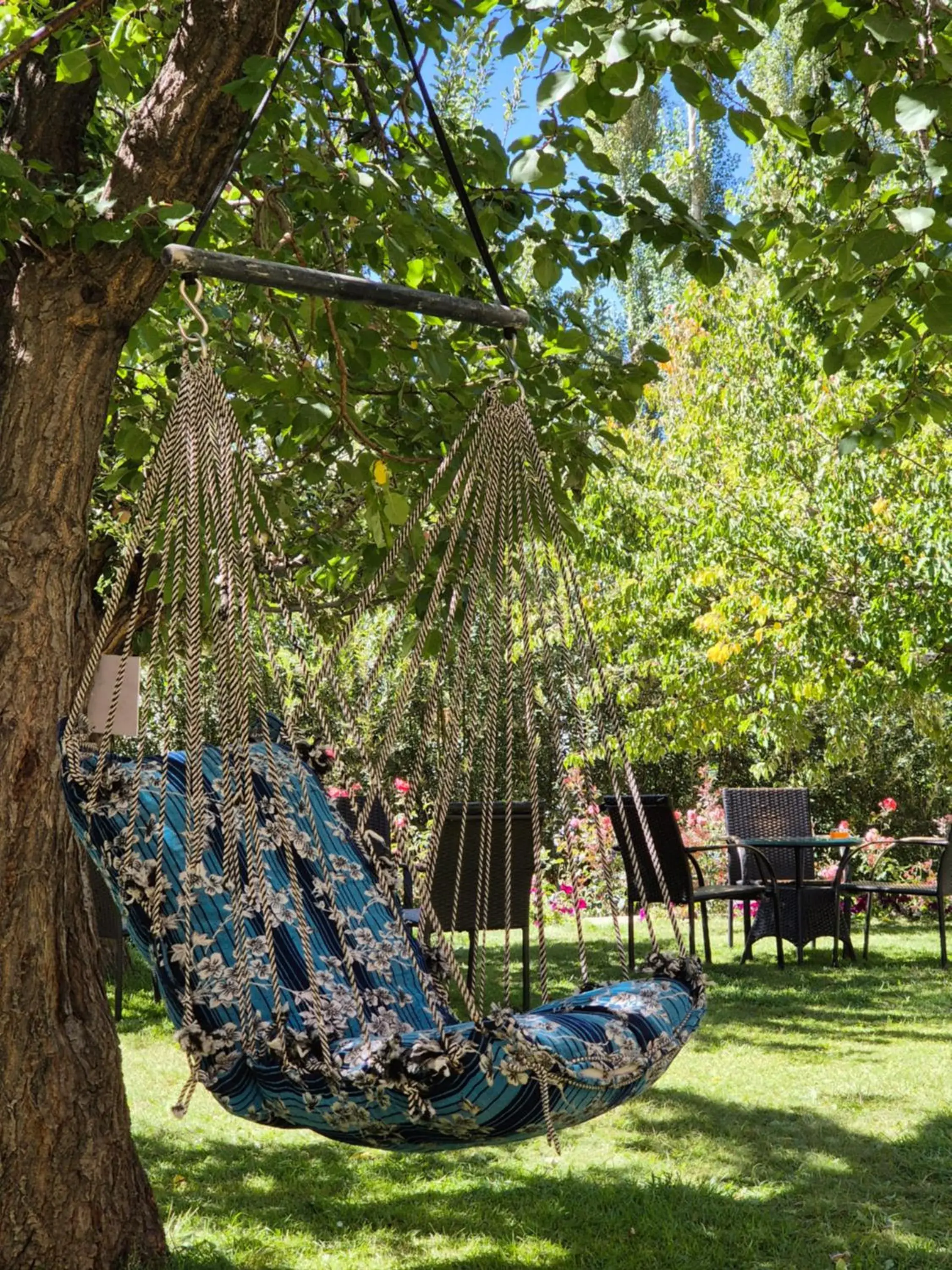 Garden view in Hotel Palam Hills Garden view in Hotel Palam Hills