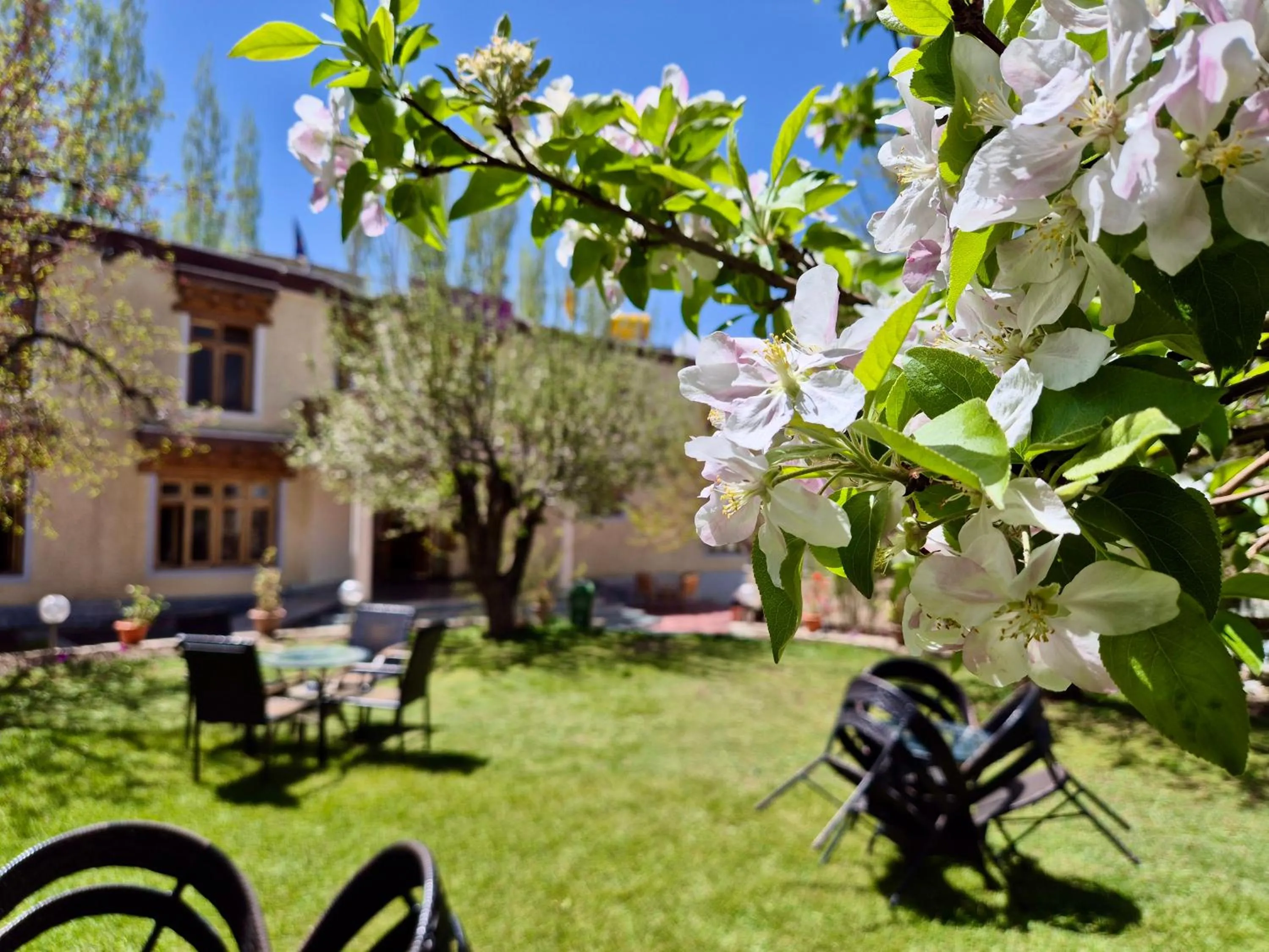 Garden in Hotel Palam Hills