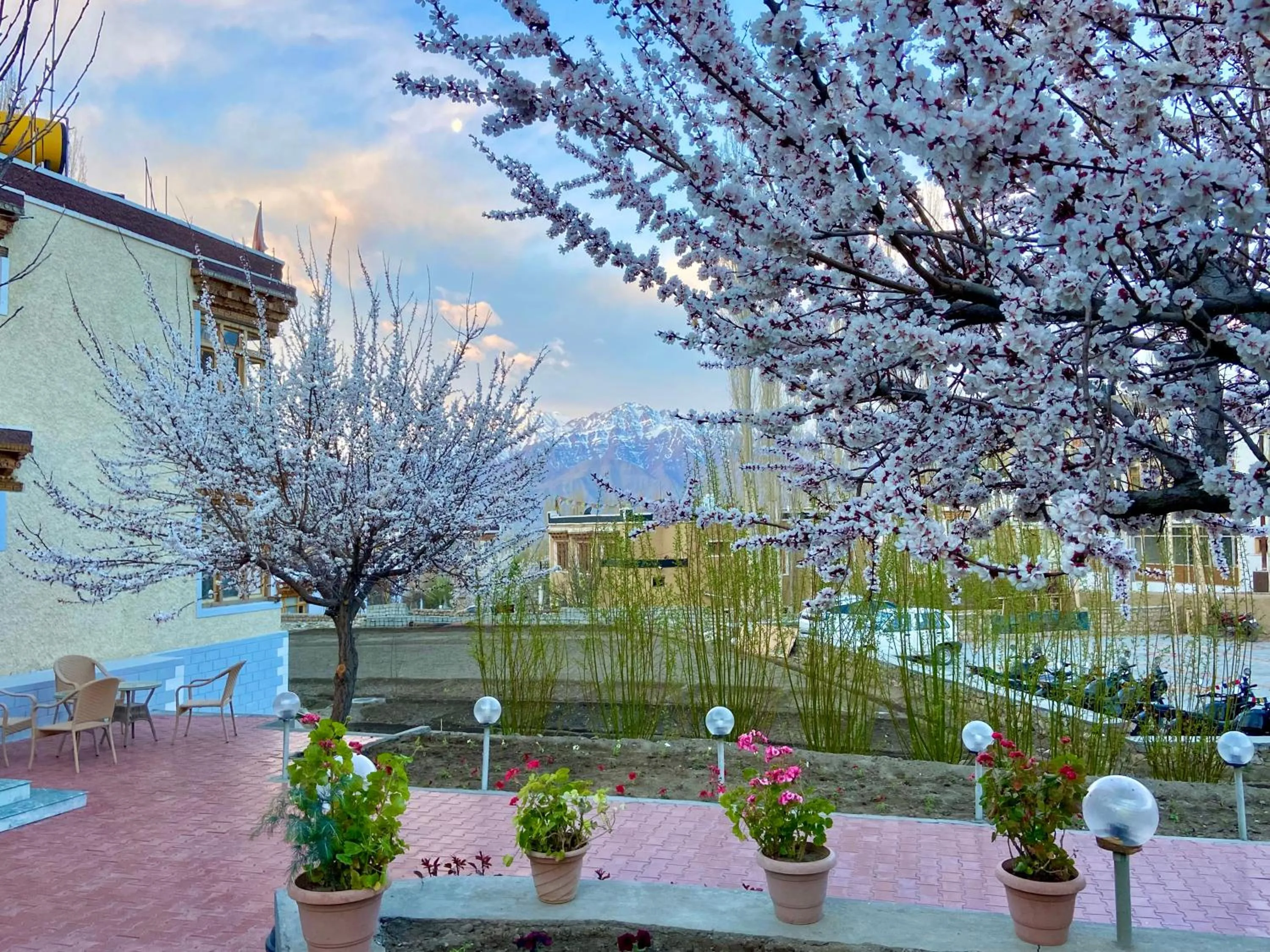 Natural landscape in Hotel Palam Hills