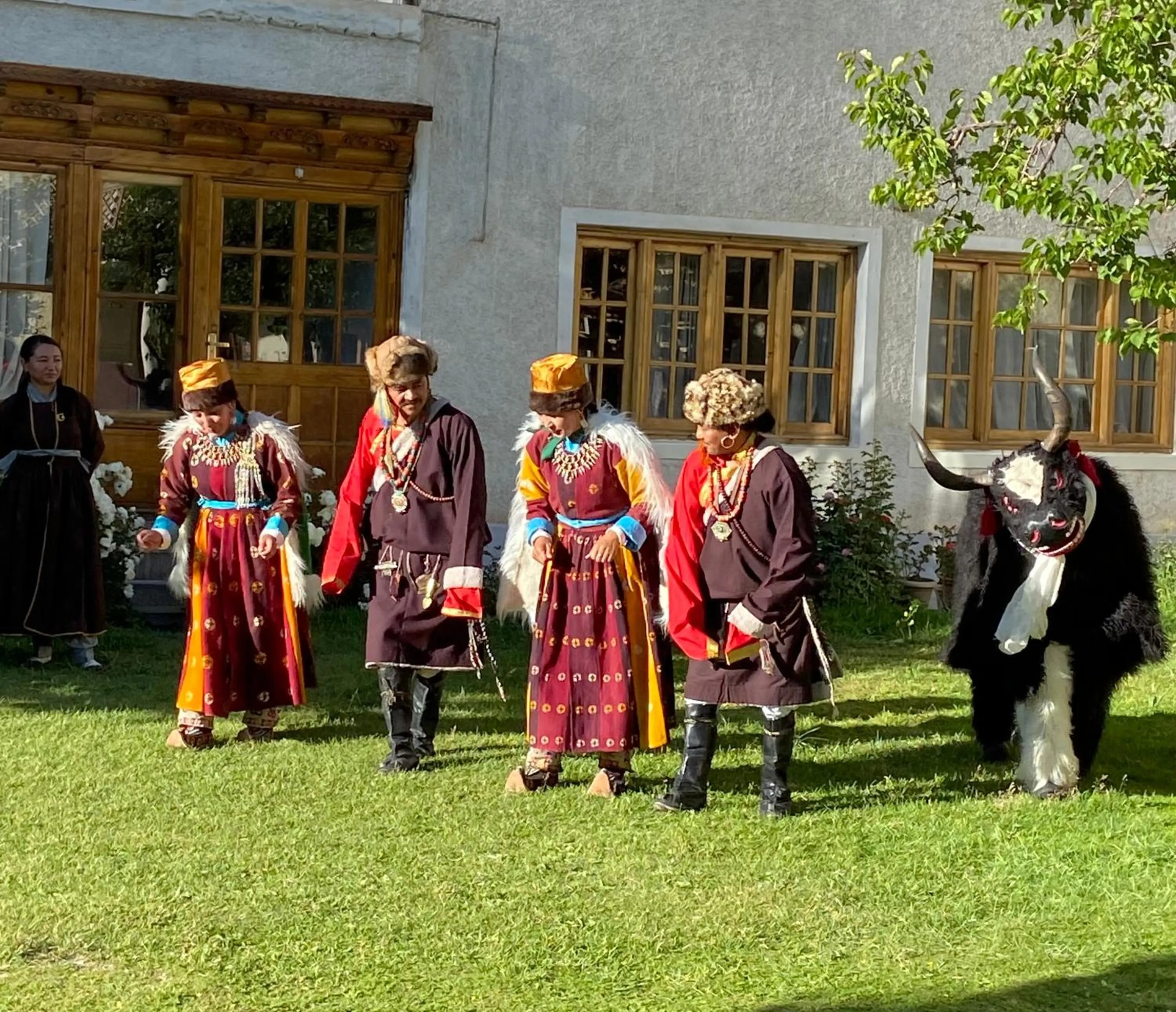 Evening entertainment in Hotel Palam Hills