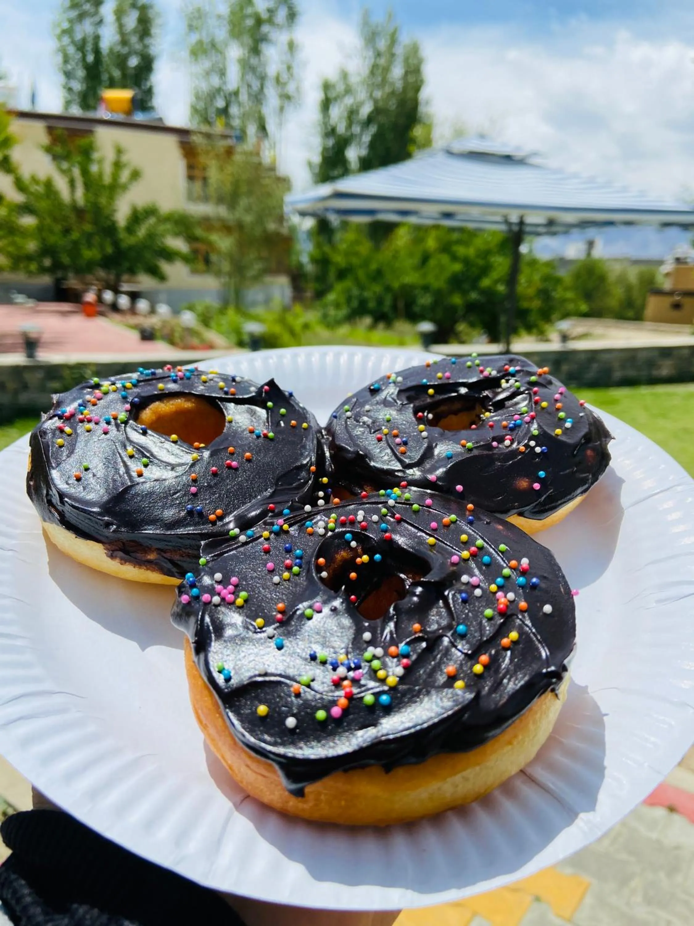 Restaurant/places to eat in Hotel Palam Hills