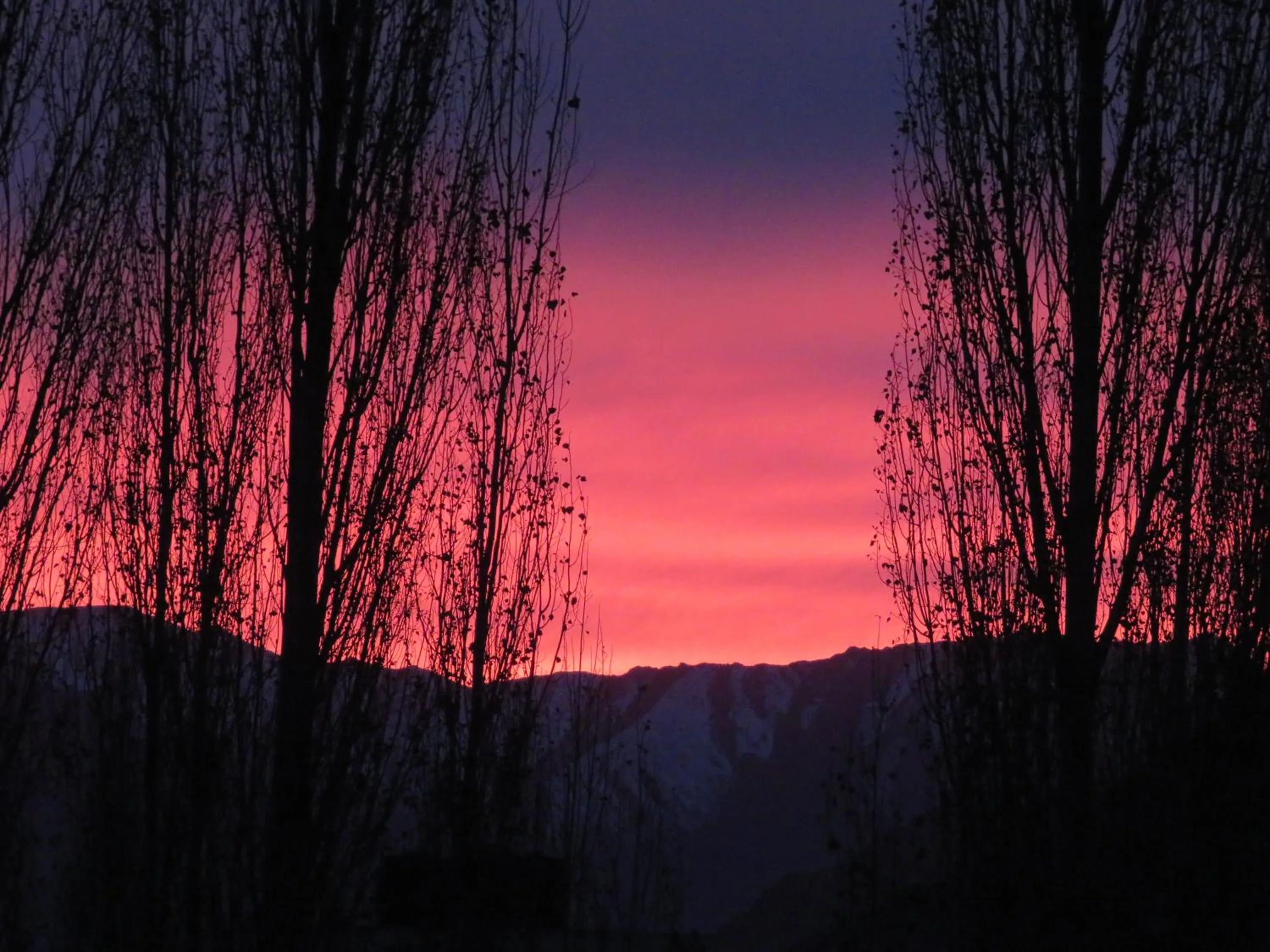 Natural landscape in Hotel Palam Hills