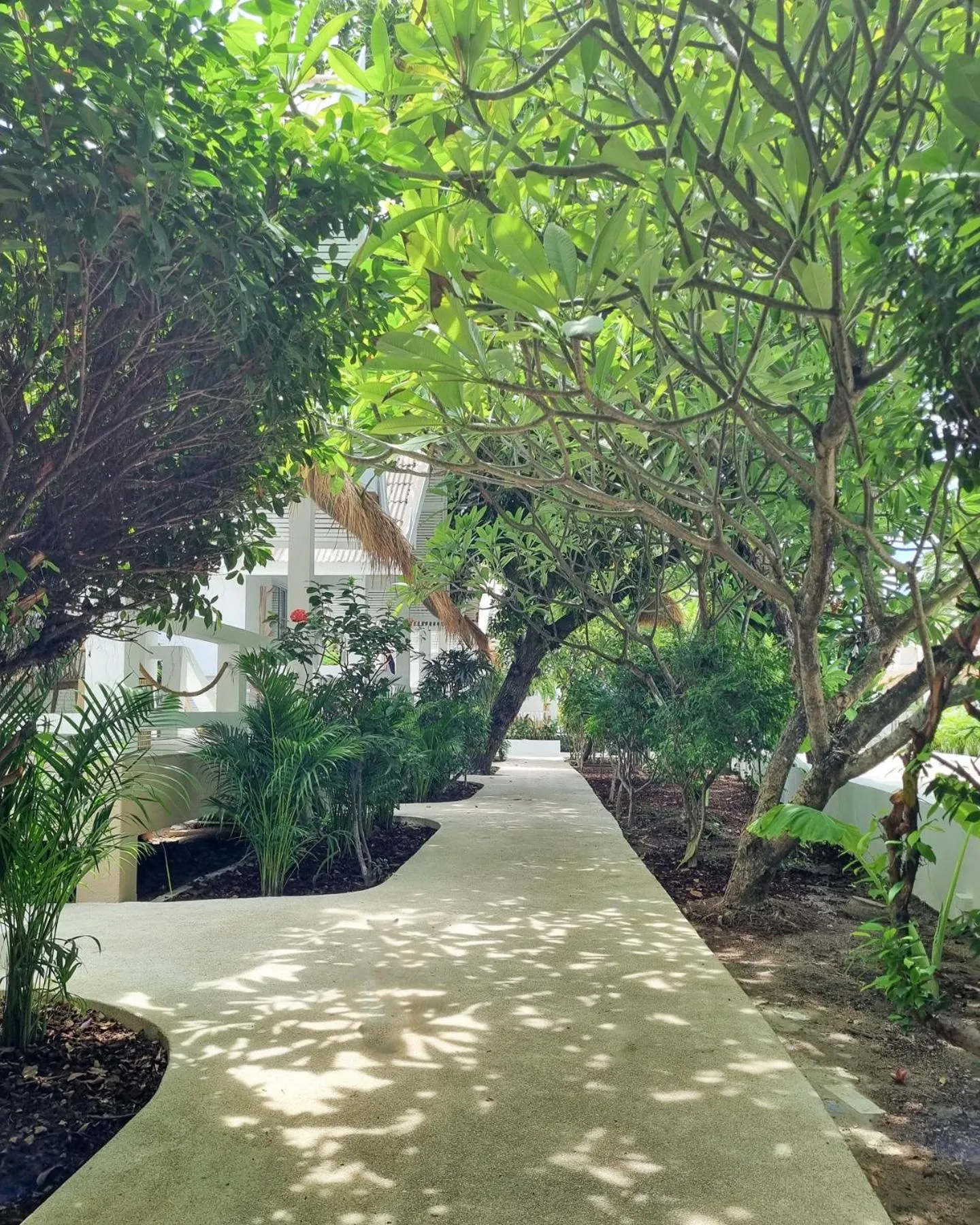 Day in Elephant Beach Club & Resort Samui