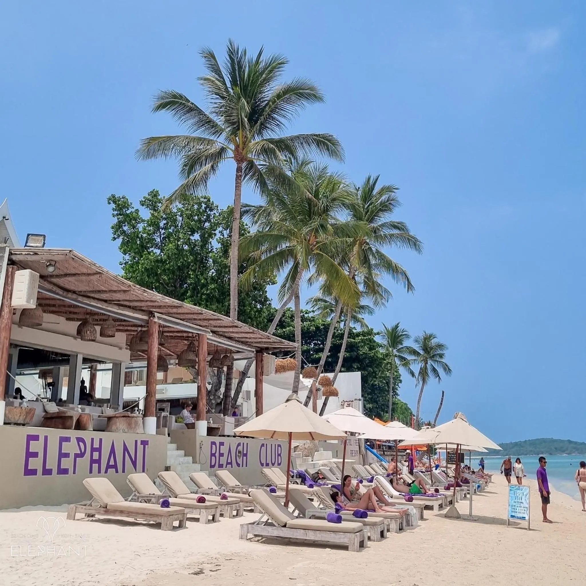 Day in Elephant Beach Club & Resort Samui