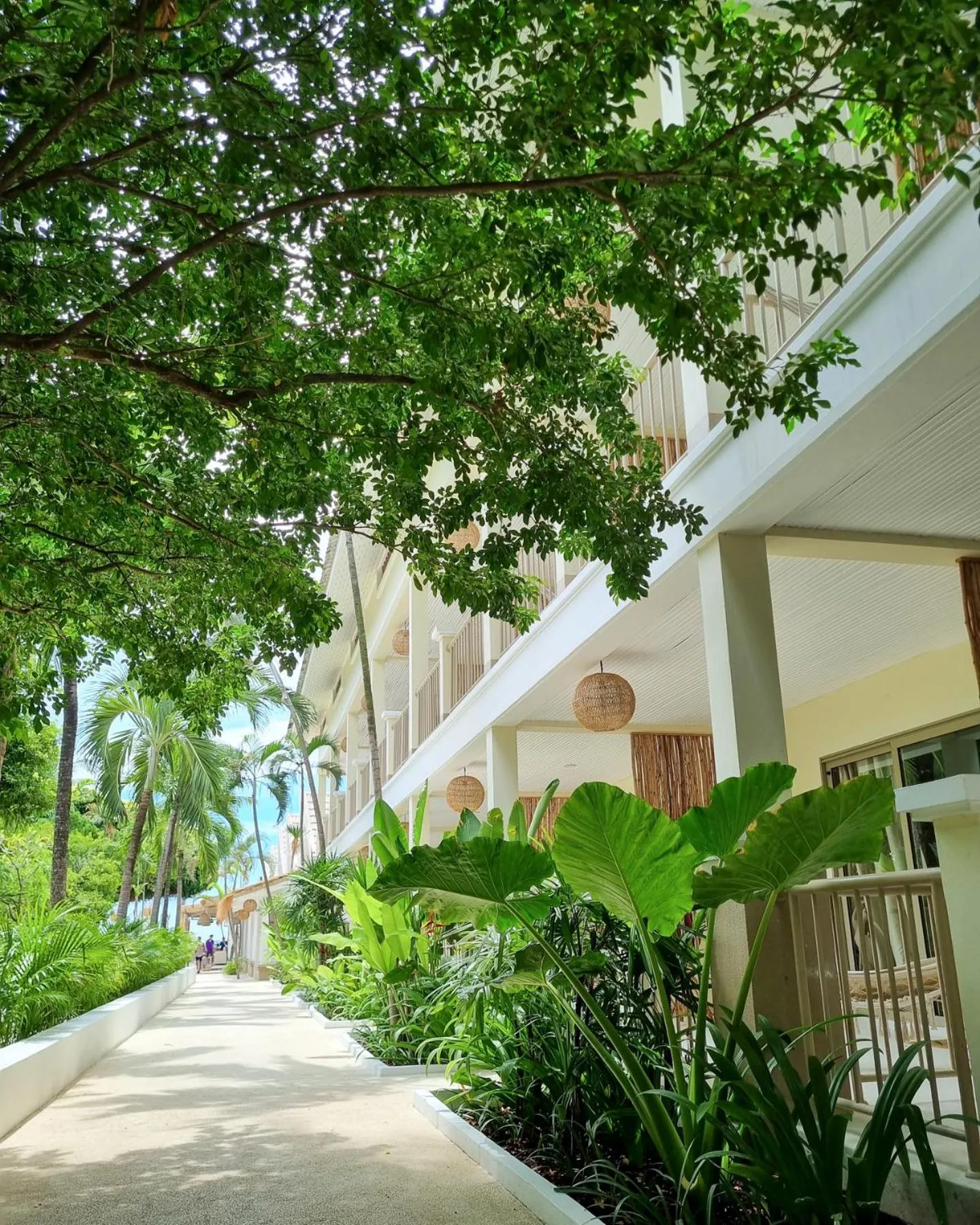 Property building in Elephant Beach Club & Resort Samui