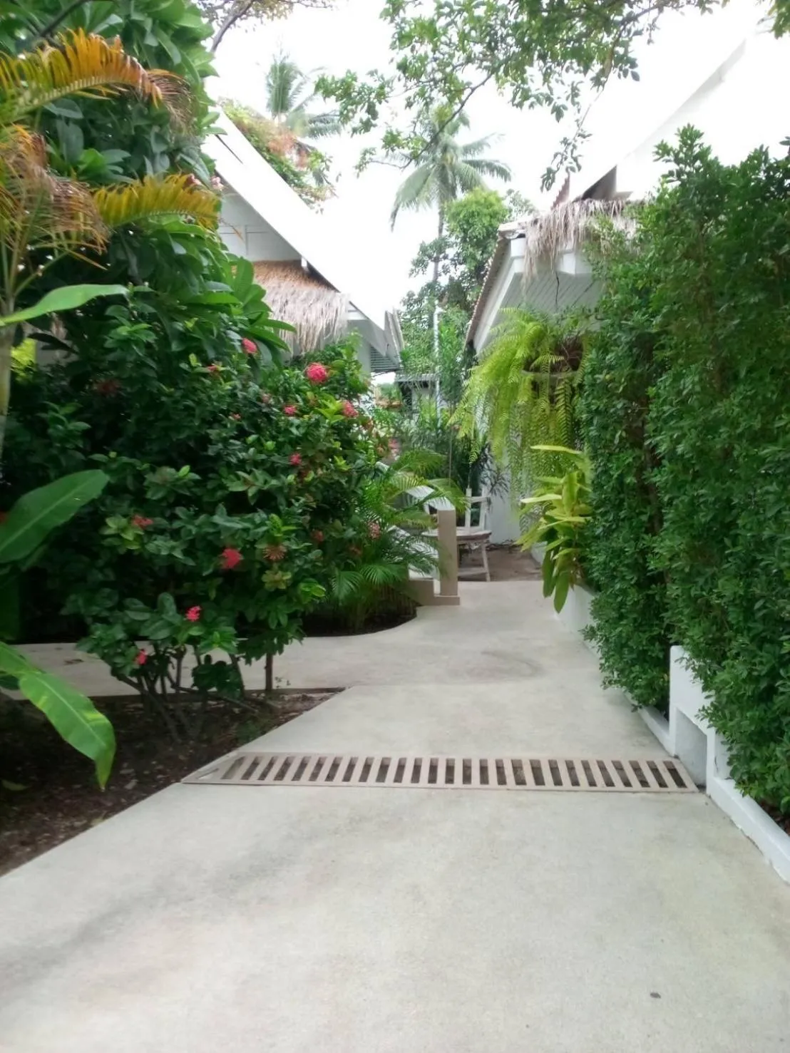 Day in Elephant Beach Club & Resort Samui