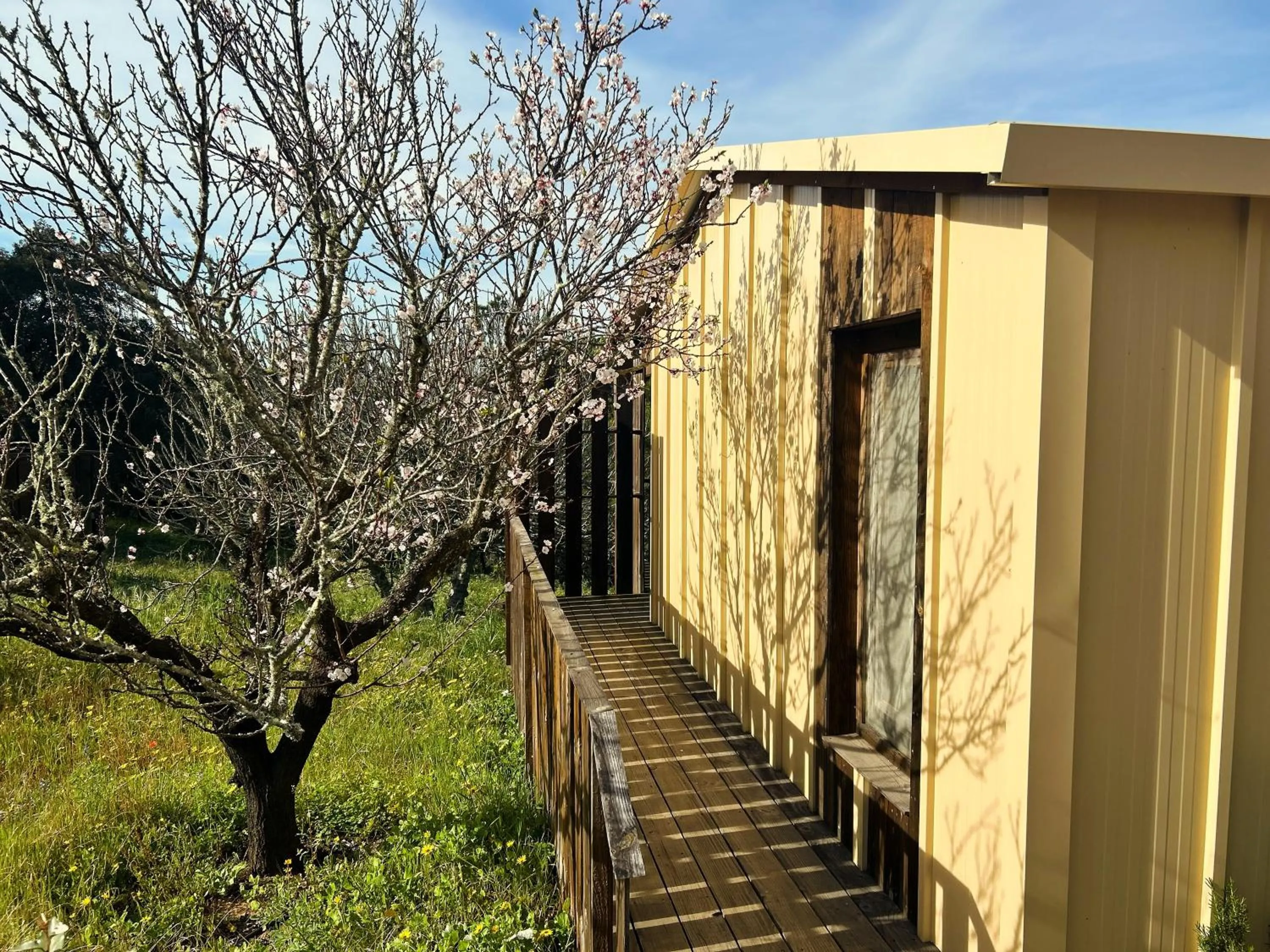 Cabanas de Melides