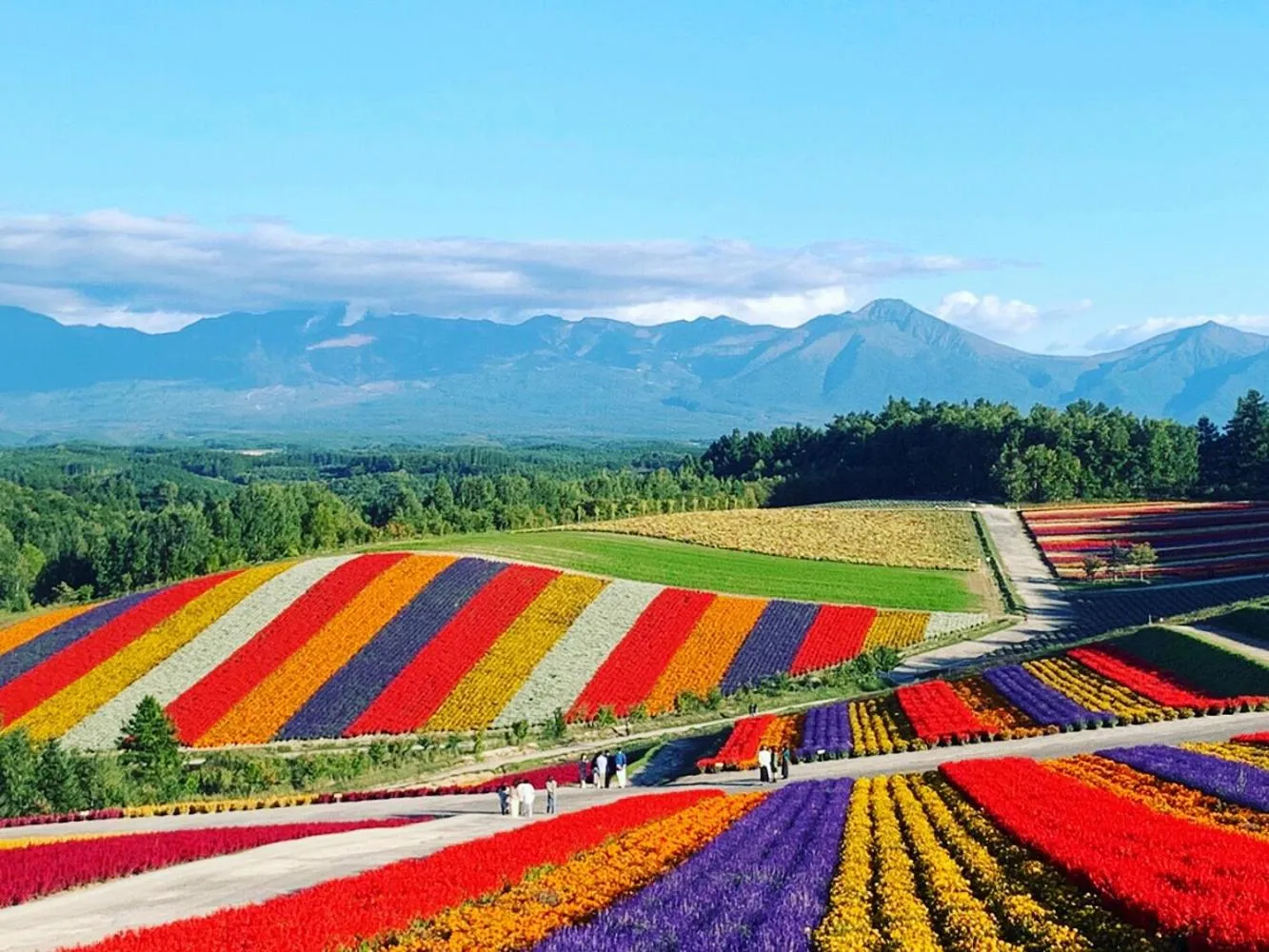 Nearby landmark in Chill Village