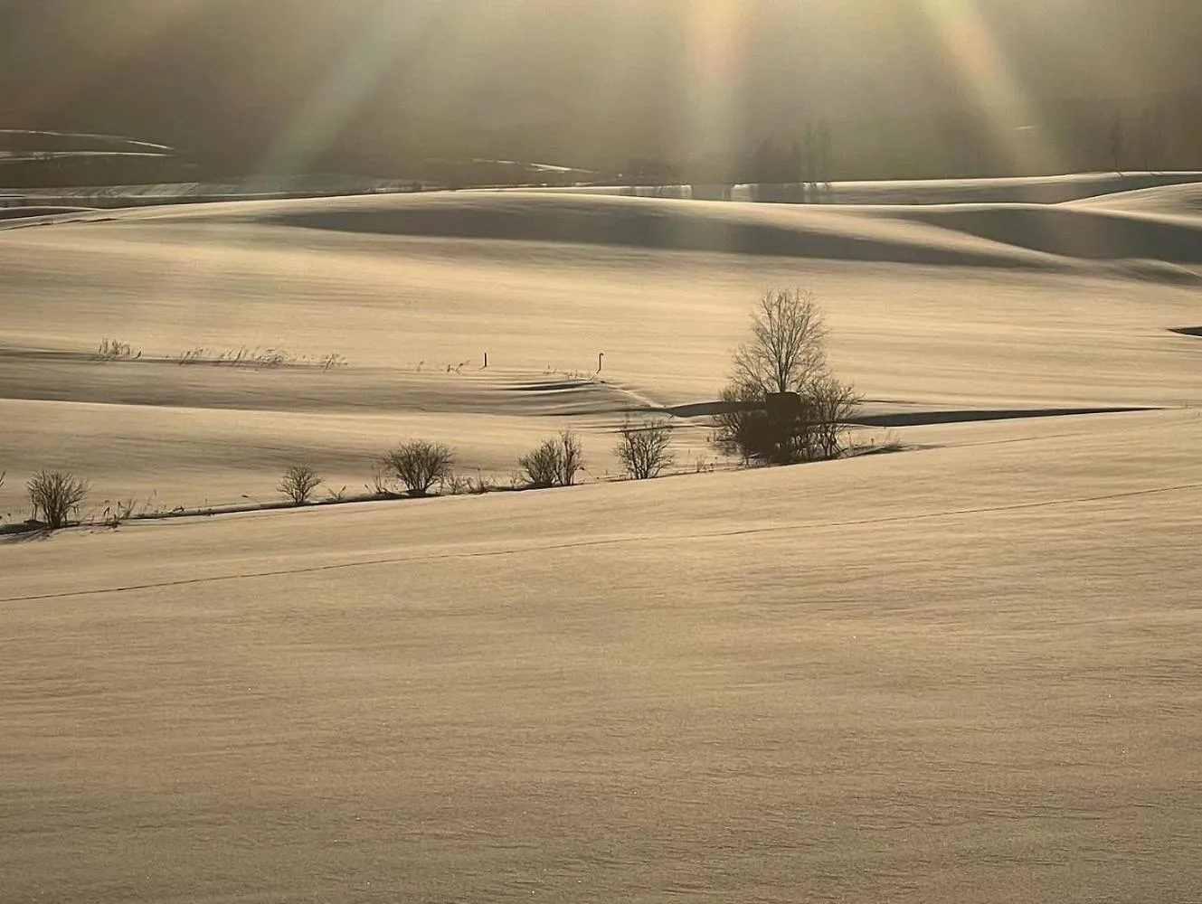 Winter in Chill Village