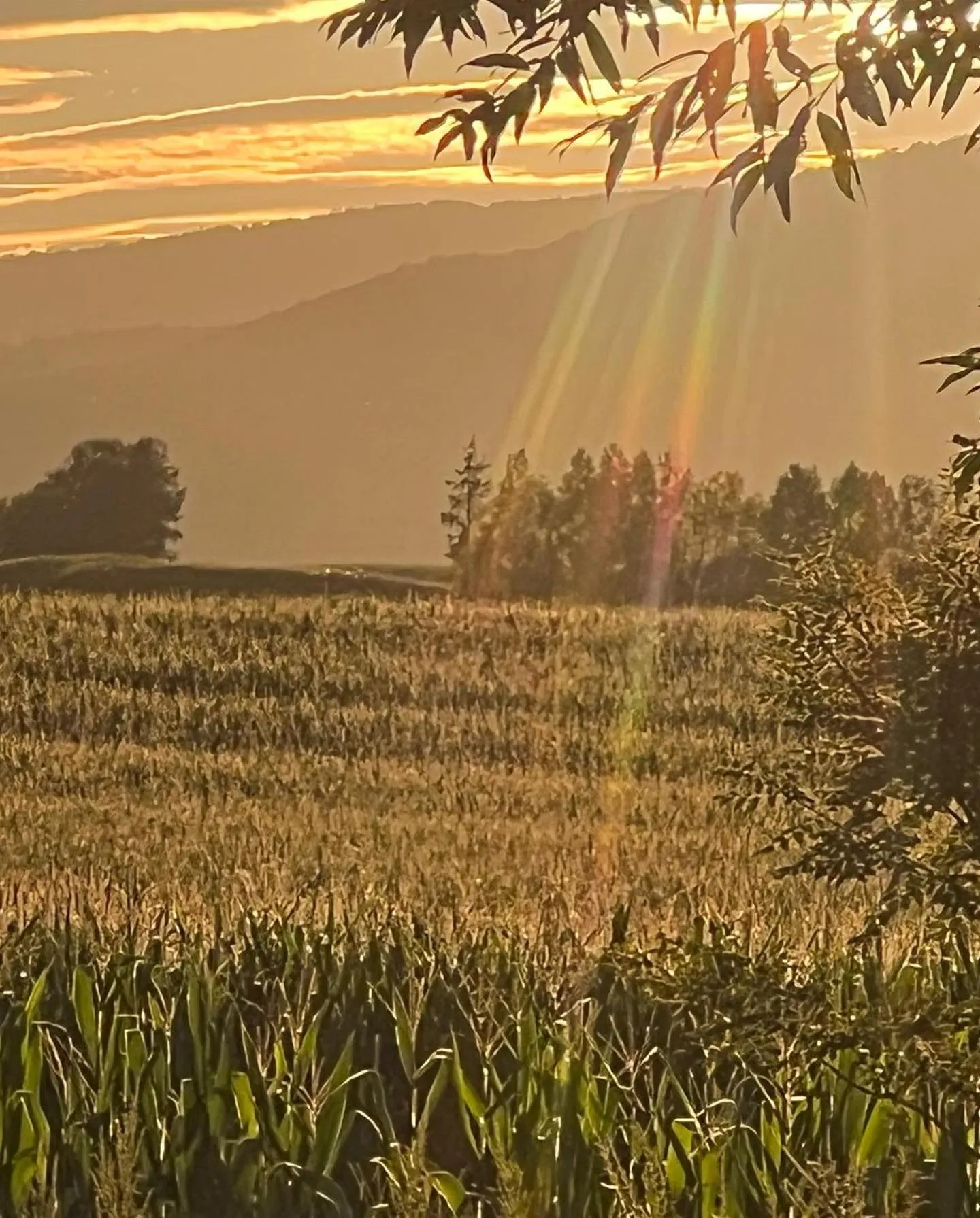 Autumn in Chill Village