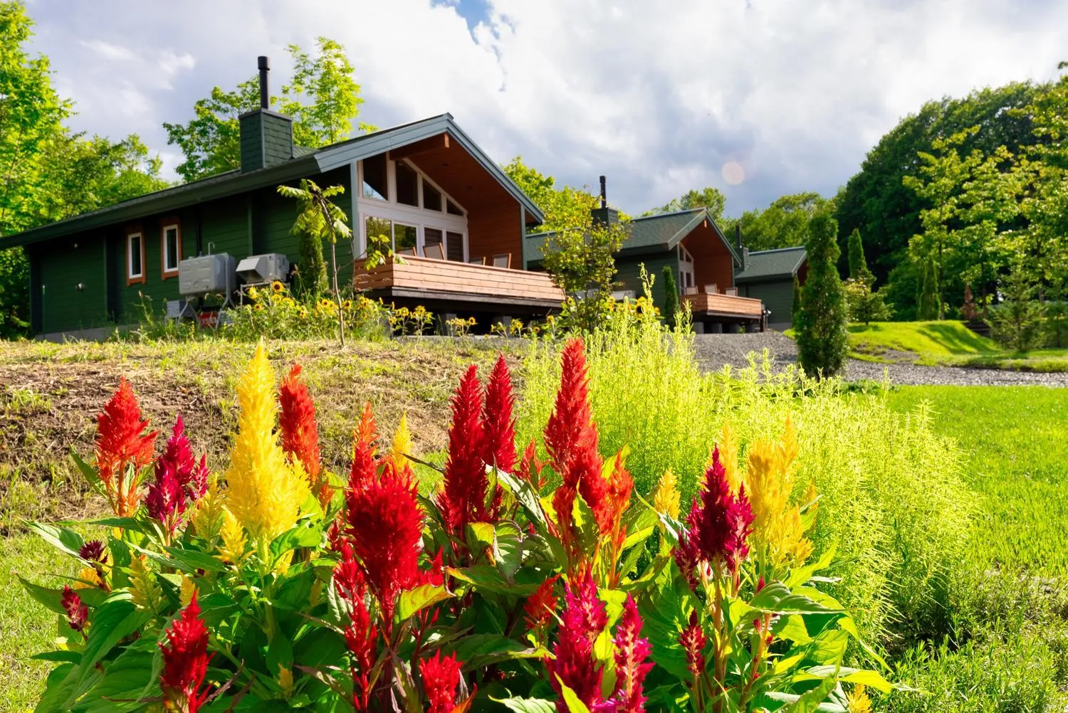 Garden view in Chill Village