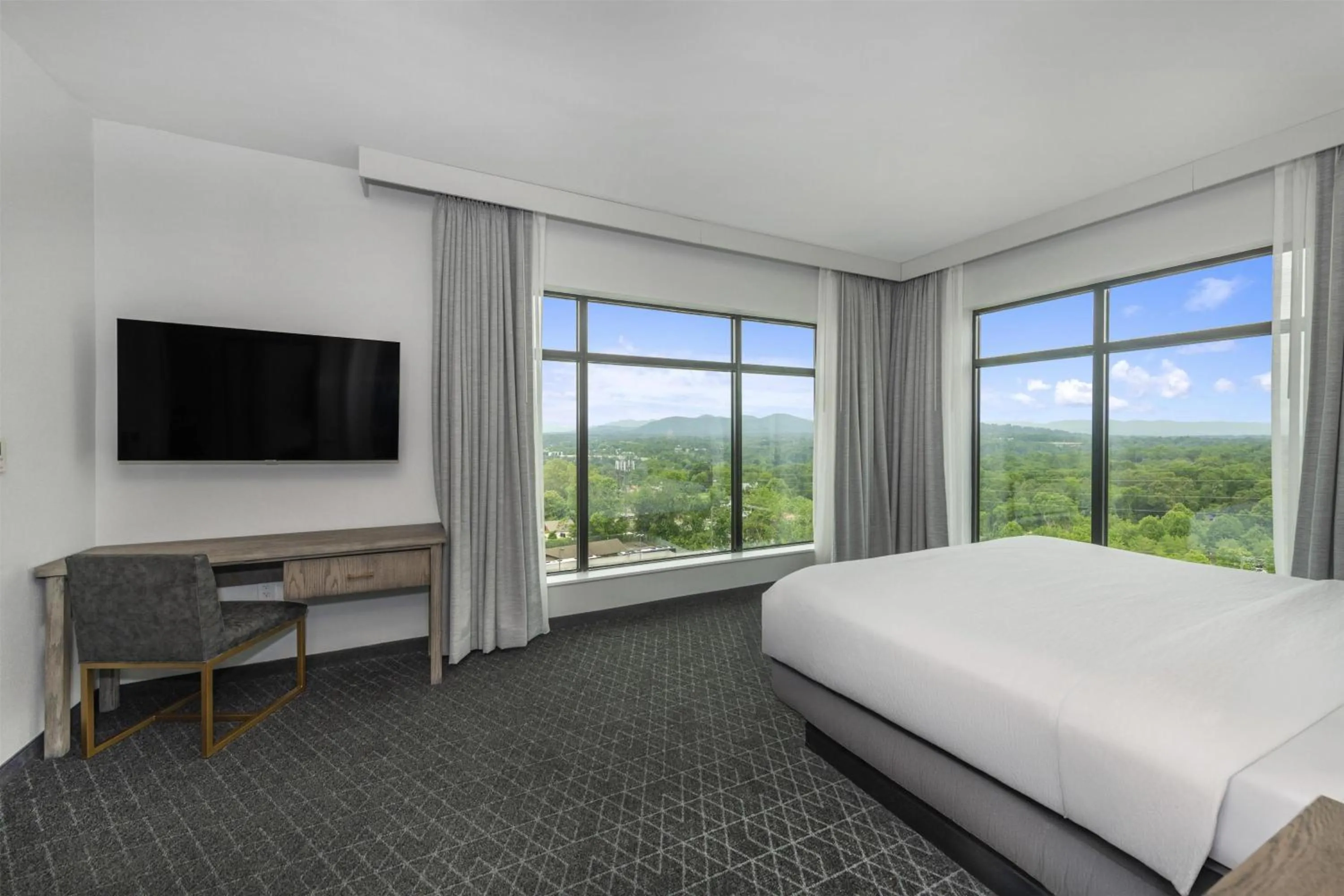 Bed in Embassy Suites By Hilton Asheville Downtown