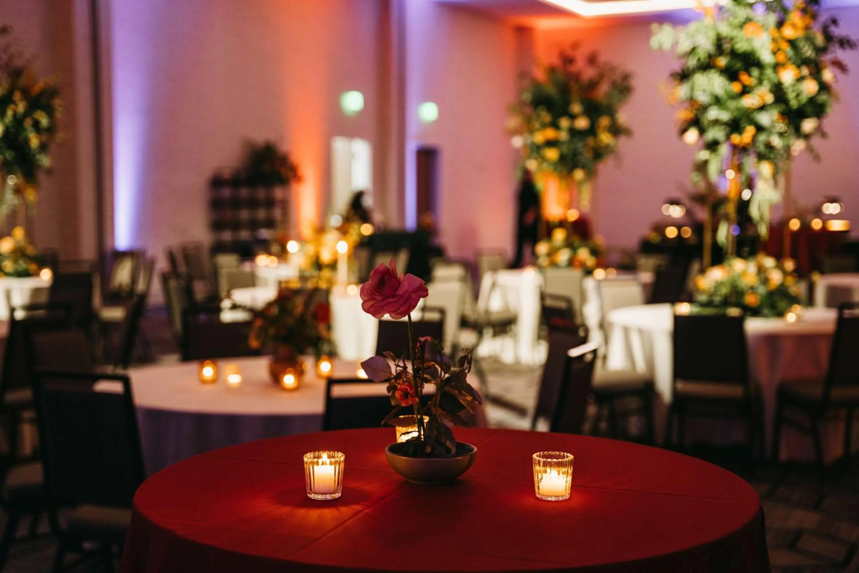 Meeting/conference room in Embassy Suites By Hilton Asheville Downtown