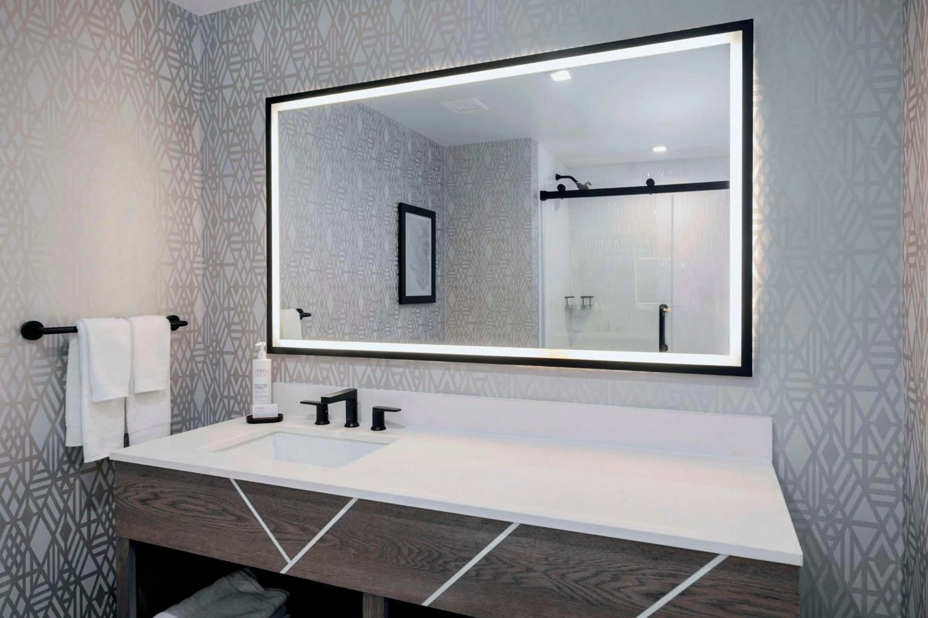 Bathroom in Embassy Suites By Hilton Asheville Downtown