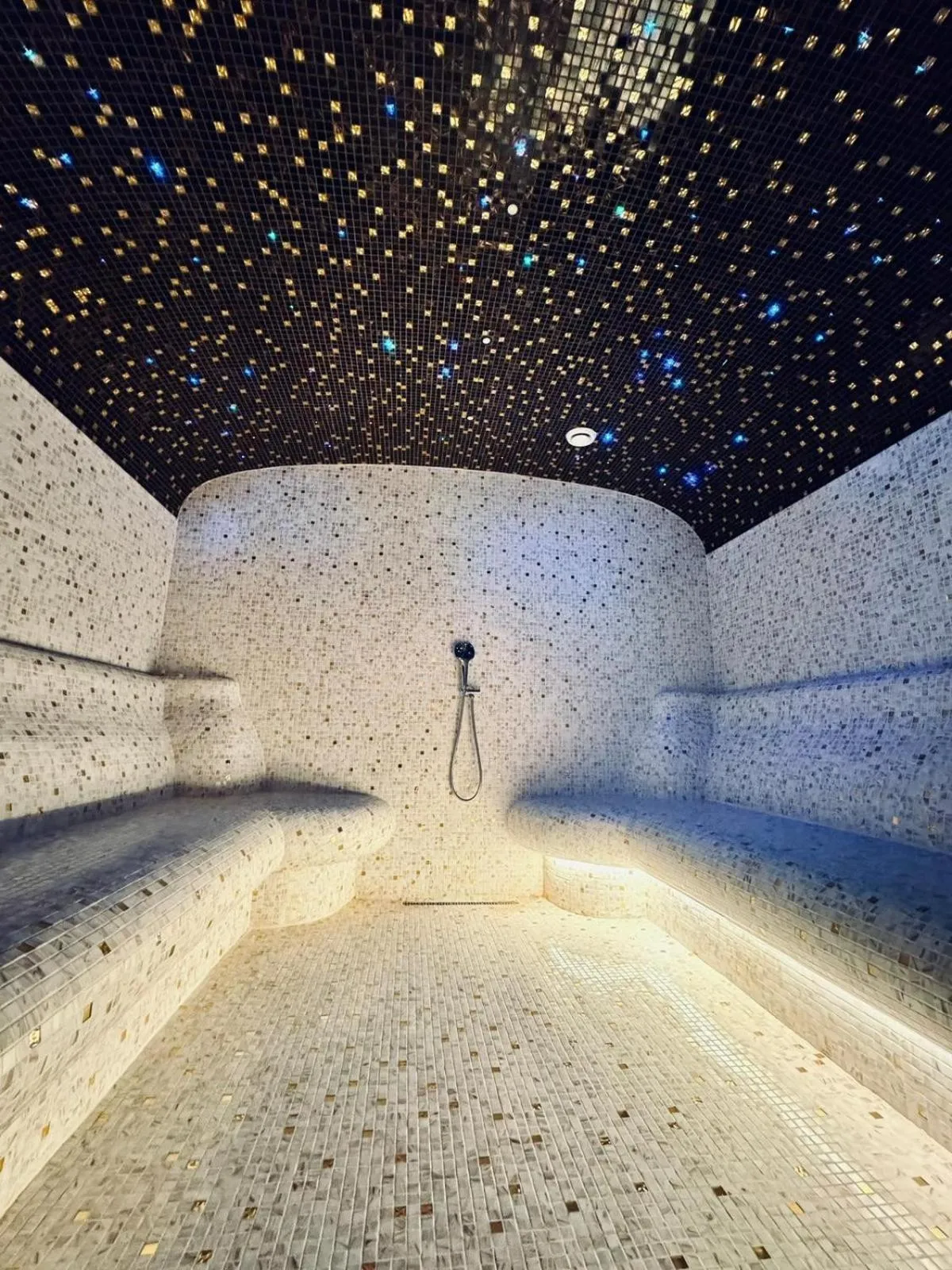 Sauna in Hanami Design Hotel