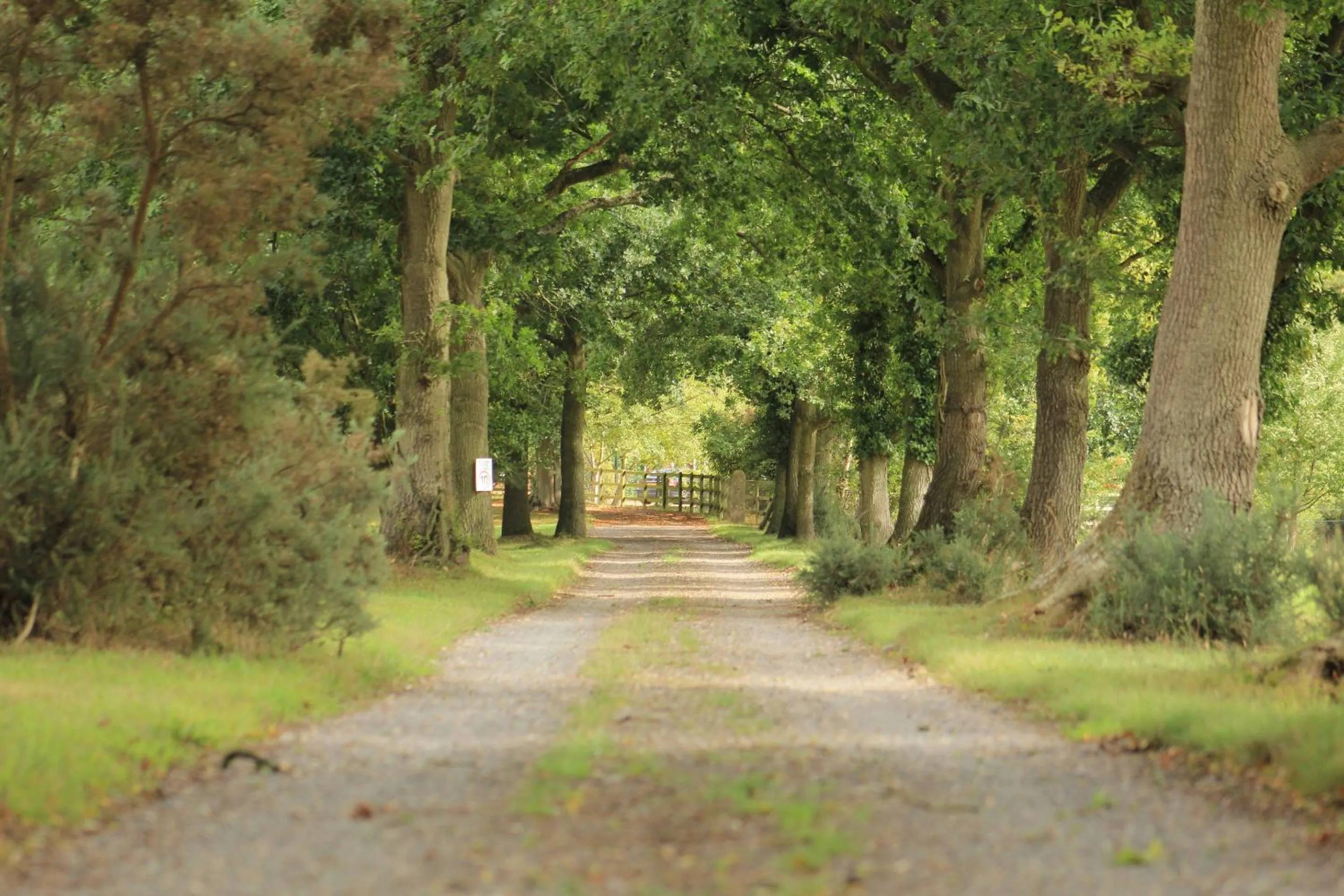 Garden in Woodman's Farm