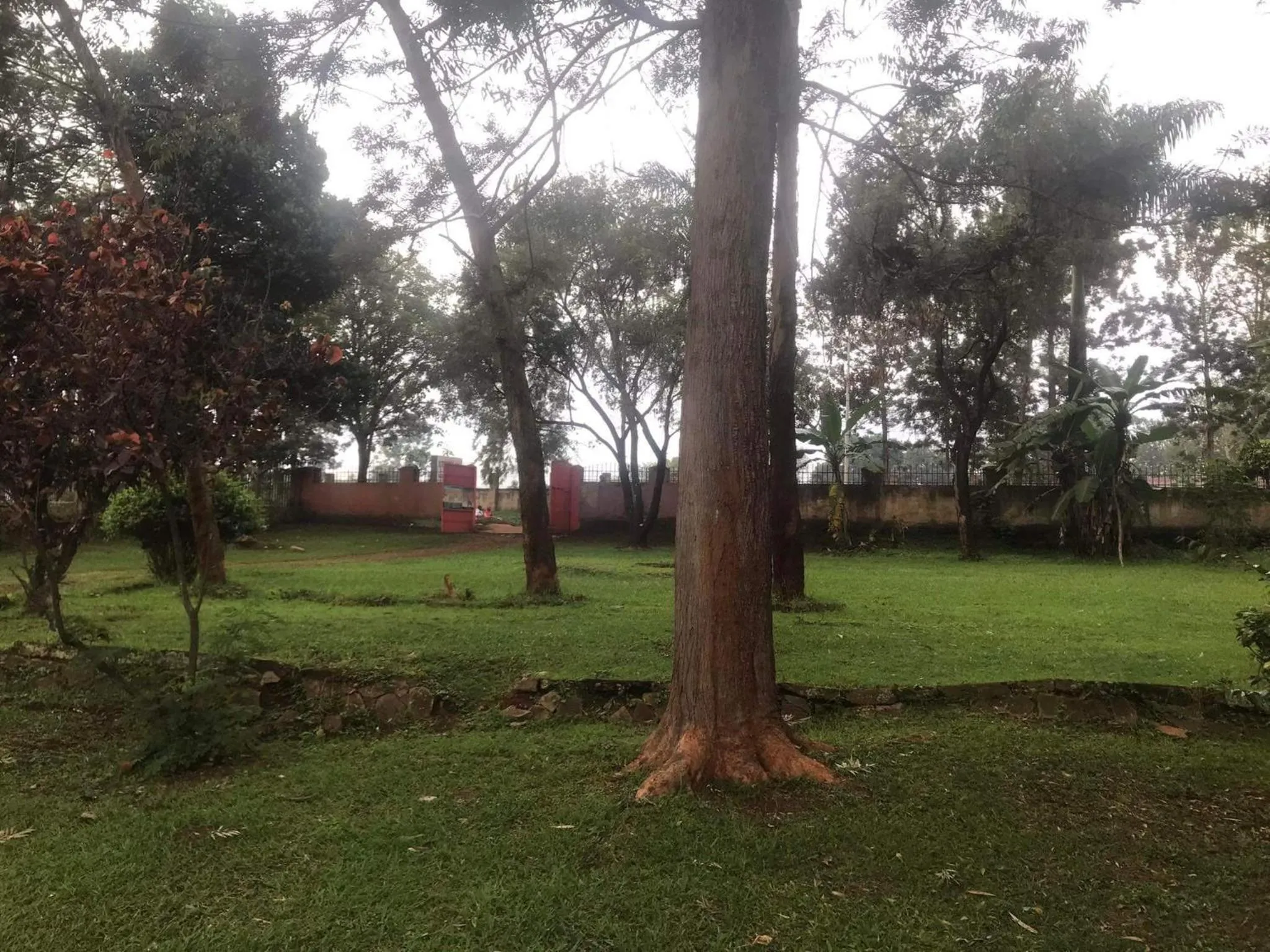 Garden in Home stay studio 62 Guesthouse