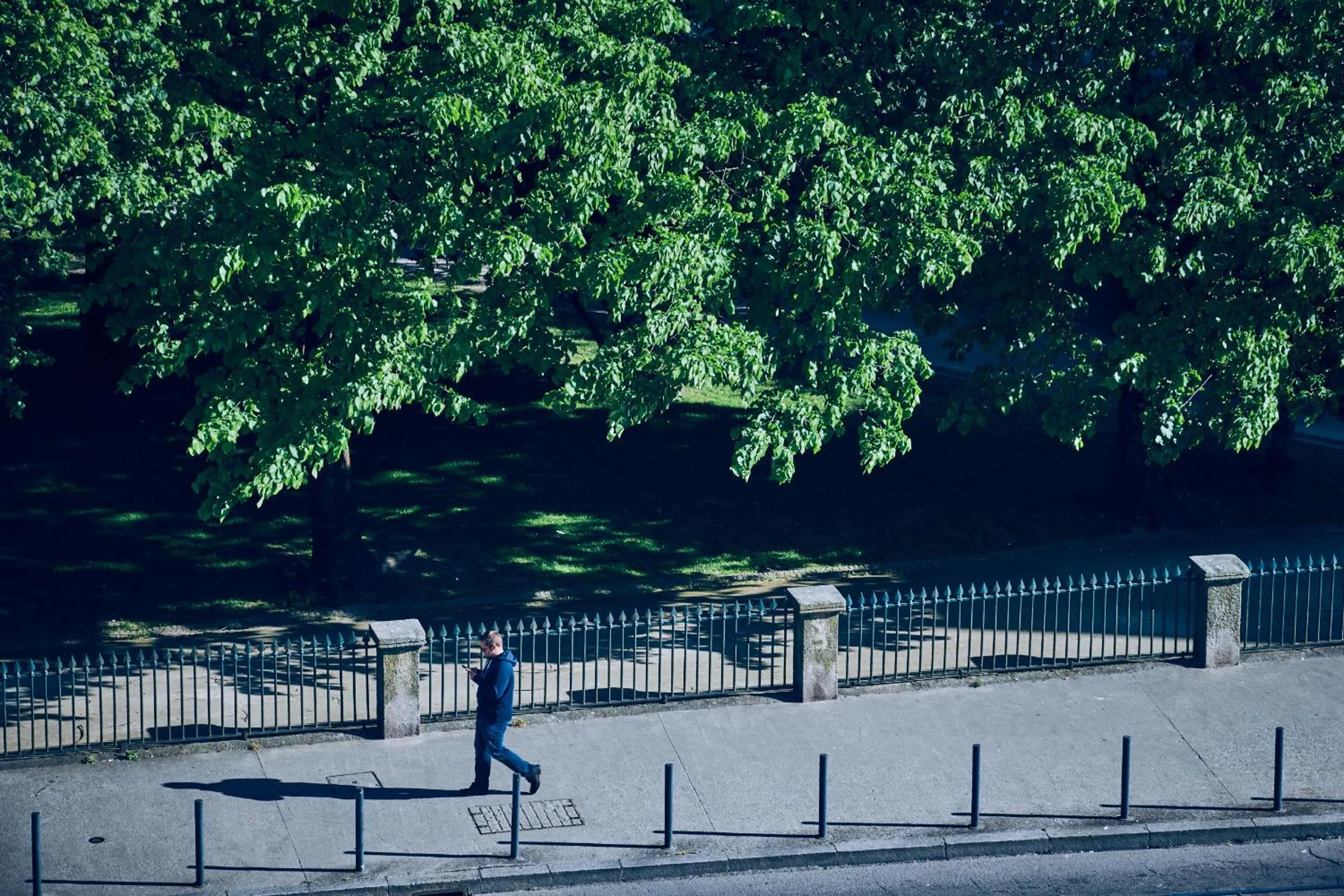 Natural landscape in Prim&Proper