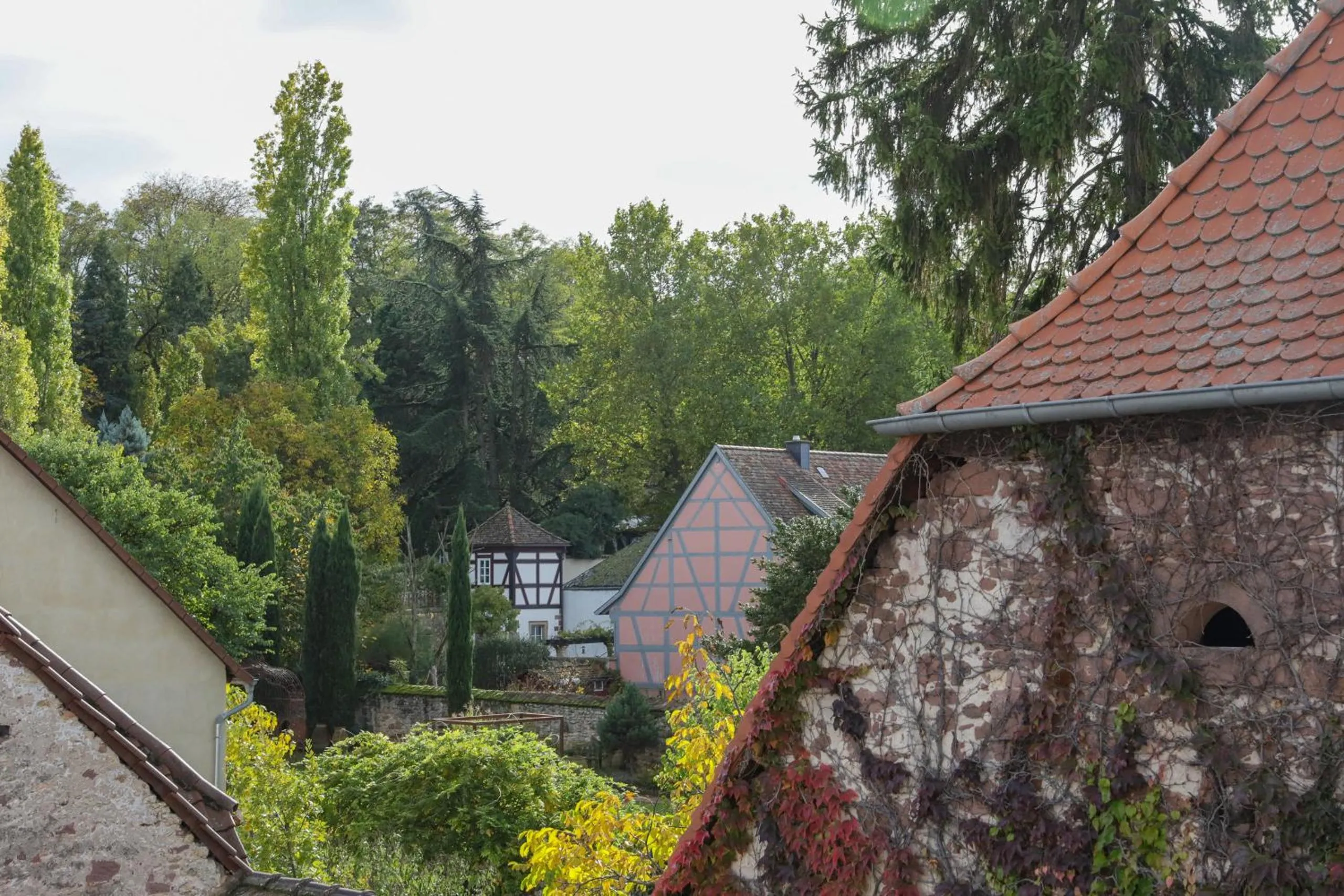 View (from property/room) in Boutique-Hotel im Sternenhof