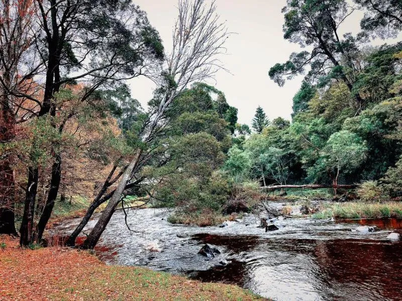 Garden in Green Gables Motel in Warburton