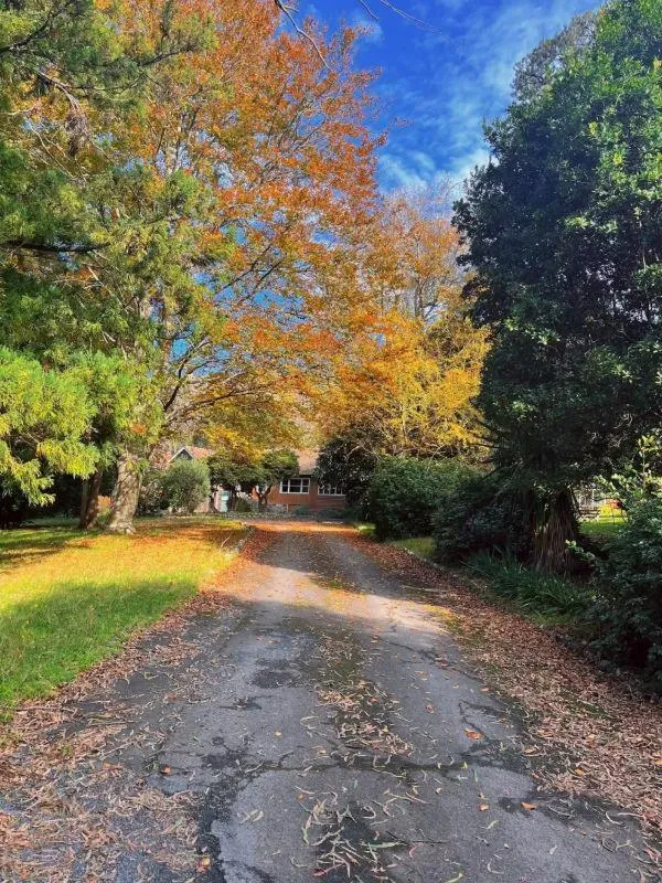Garden in Green Gables Motel in Warburton