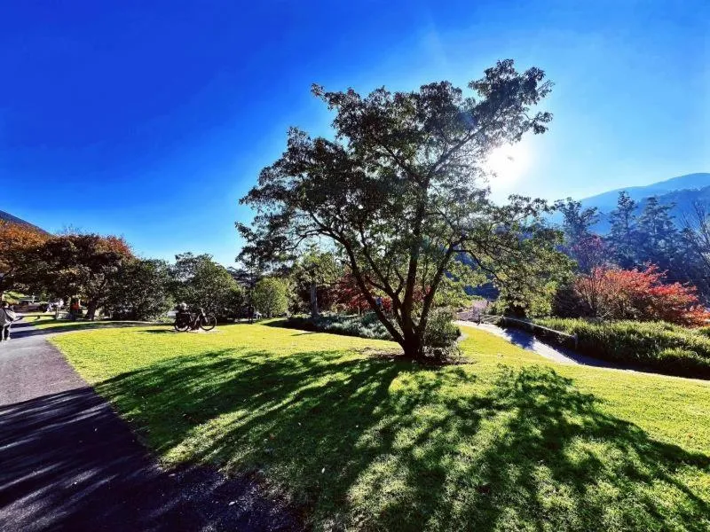 Green Gables Motel in Warburton