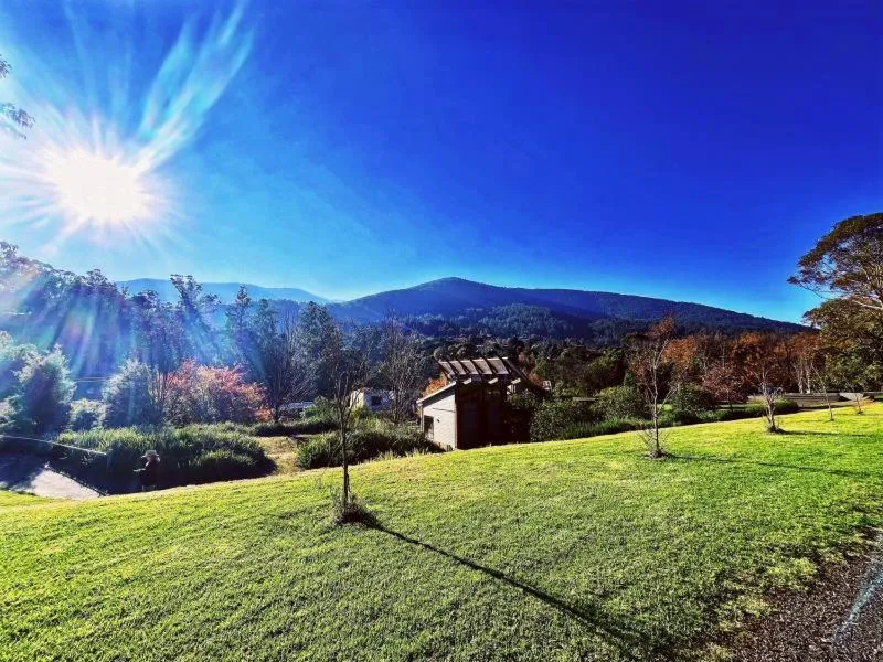 Garden in Green Gables Motel in Warburton