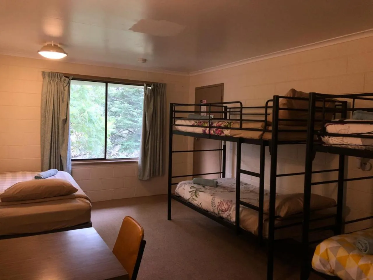 Bed in Green Gables Motel in Warburton