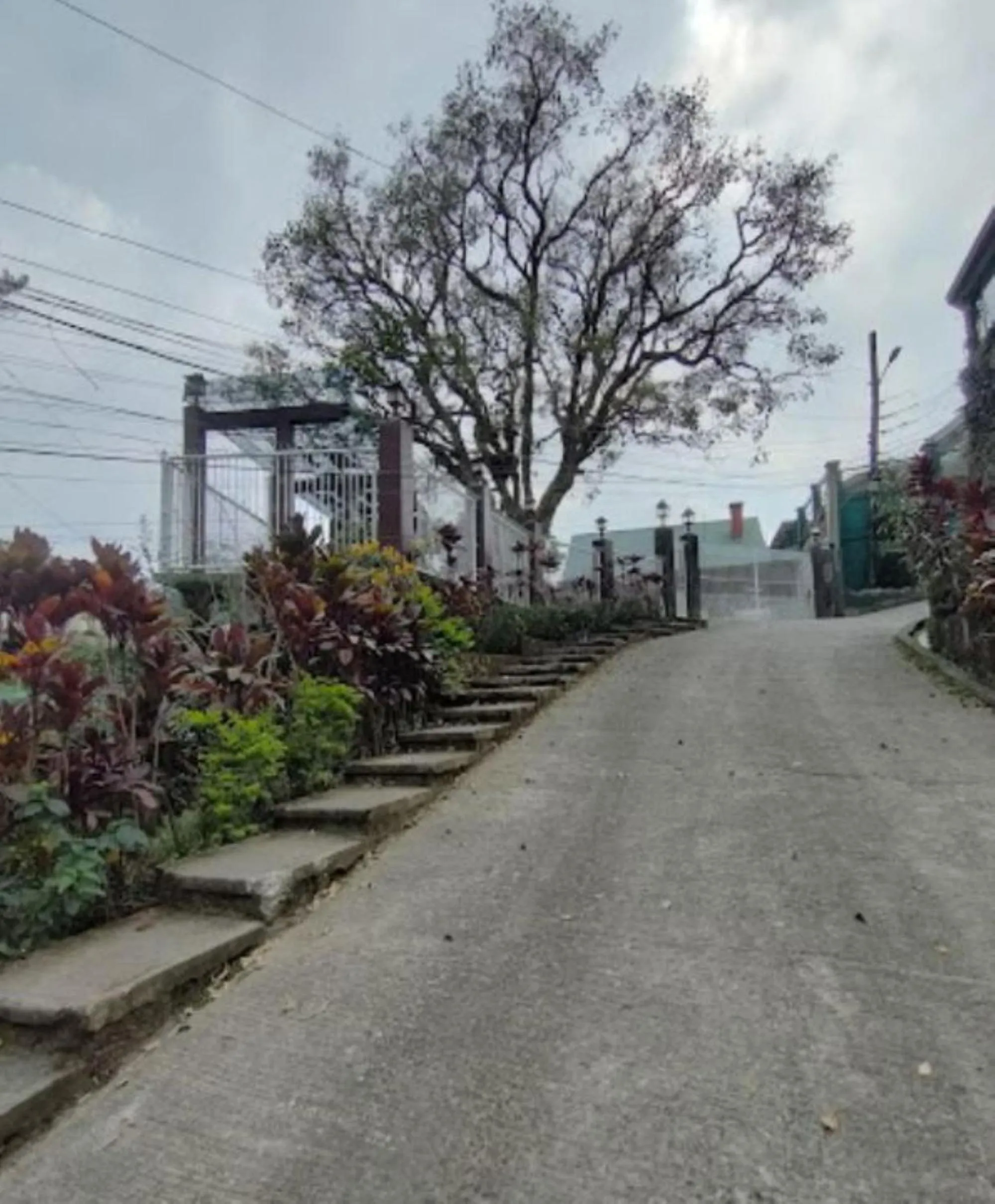 Garden in Gamal 360 Transient Baguio City