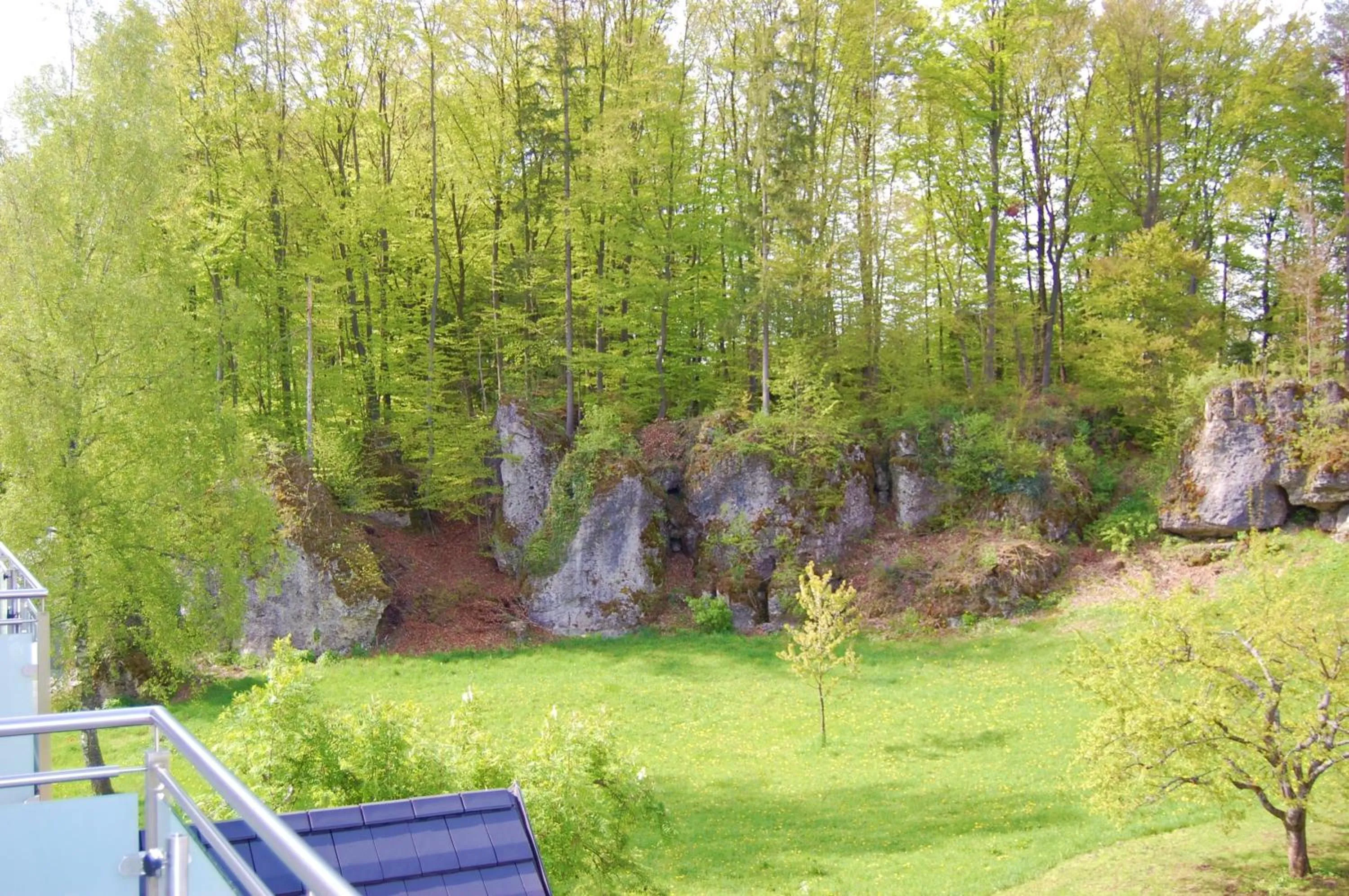 View (from property/room) in Gästehaus Brütting