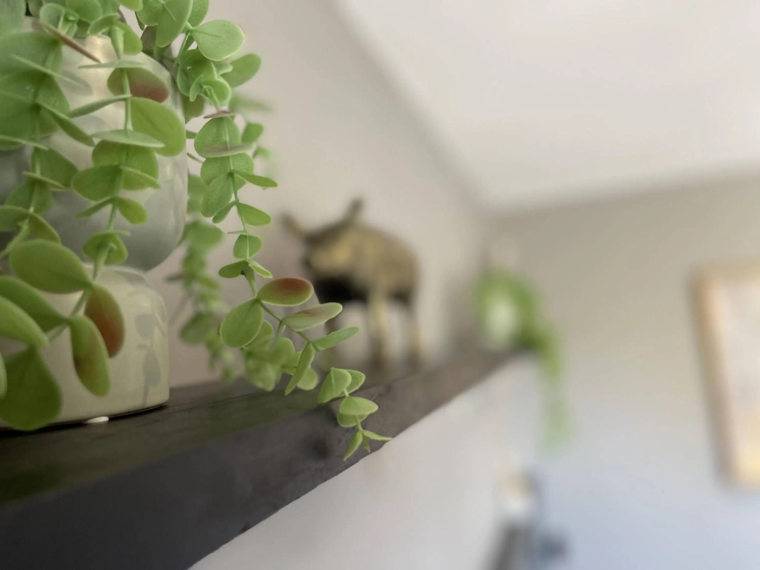 Bedroom in The Old Talbot Rooms Milton Keynes