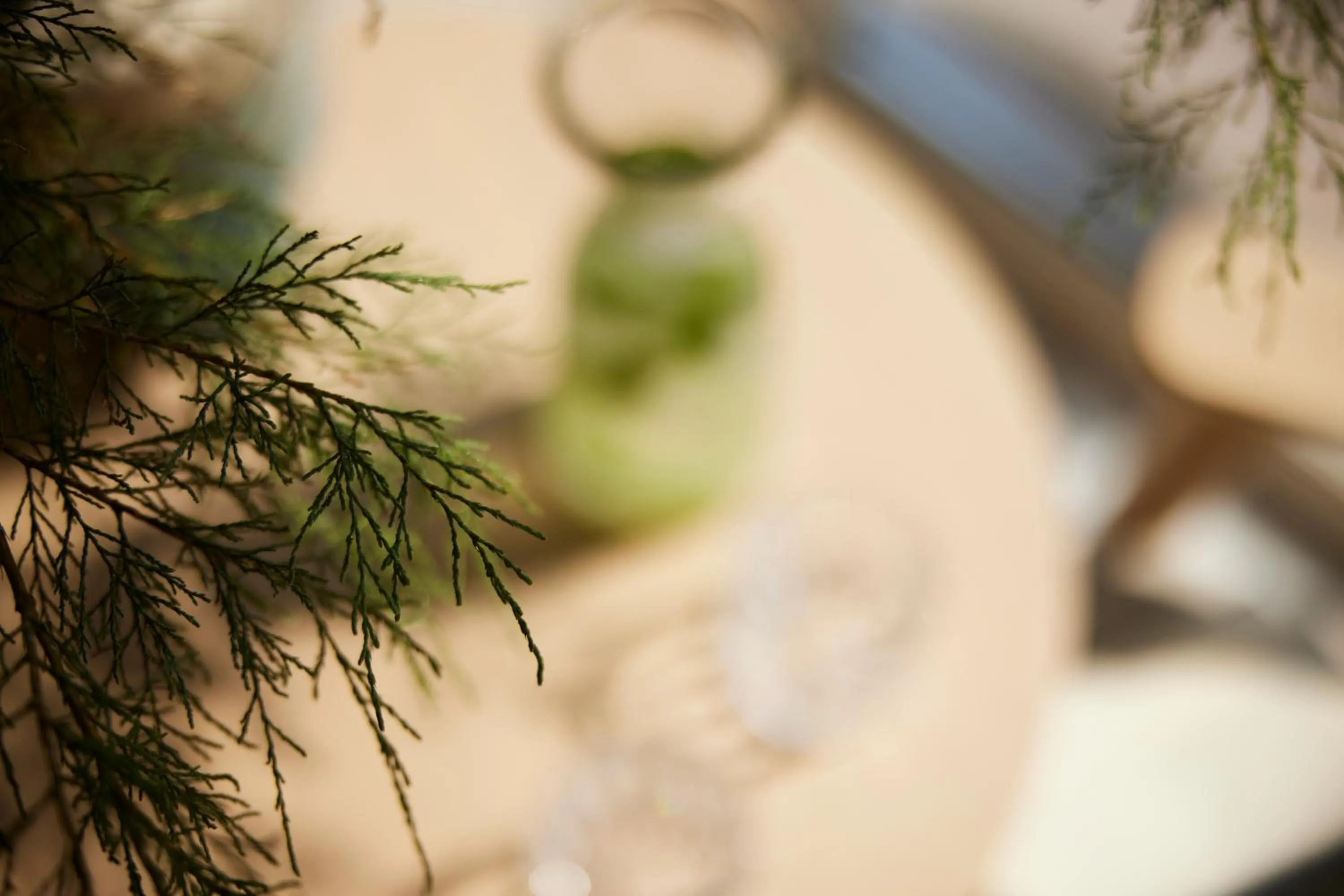 Day in Avant Mar Paros